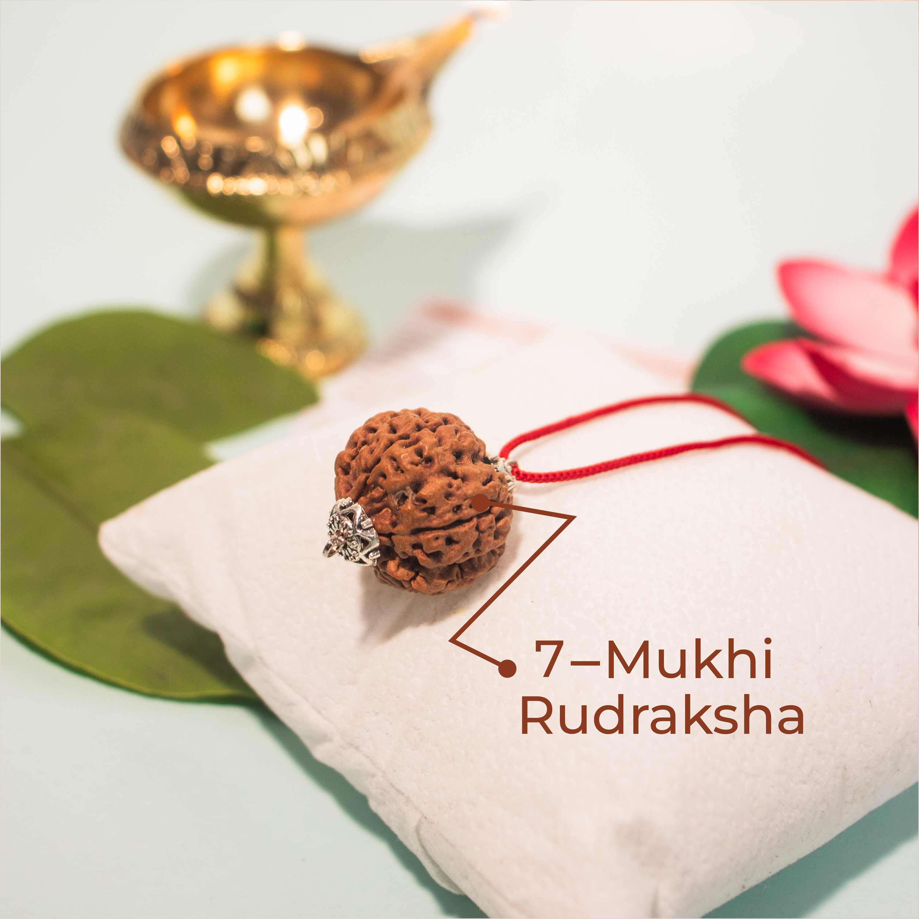 7 Mukhi Nepali Rudraksha Pendant – Wealth, Health & Divine Blessings of Goddess Lakshmi