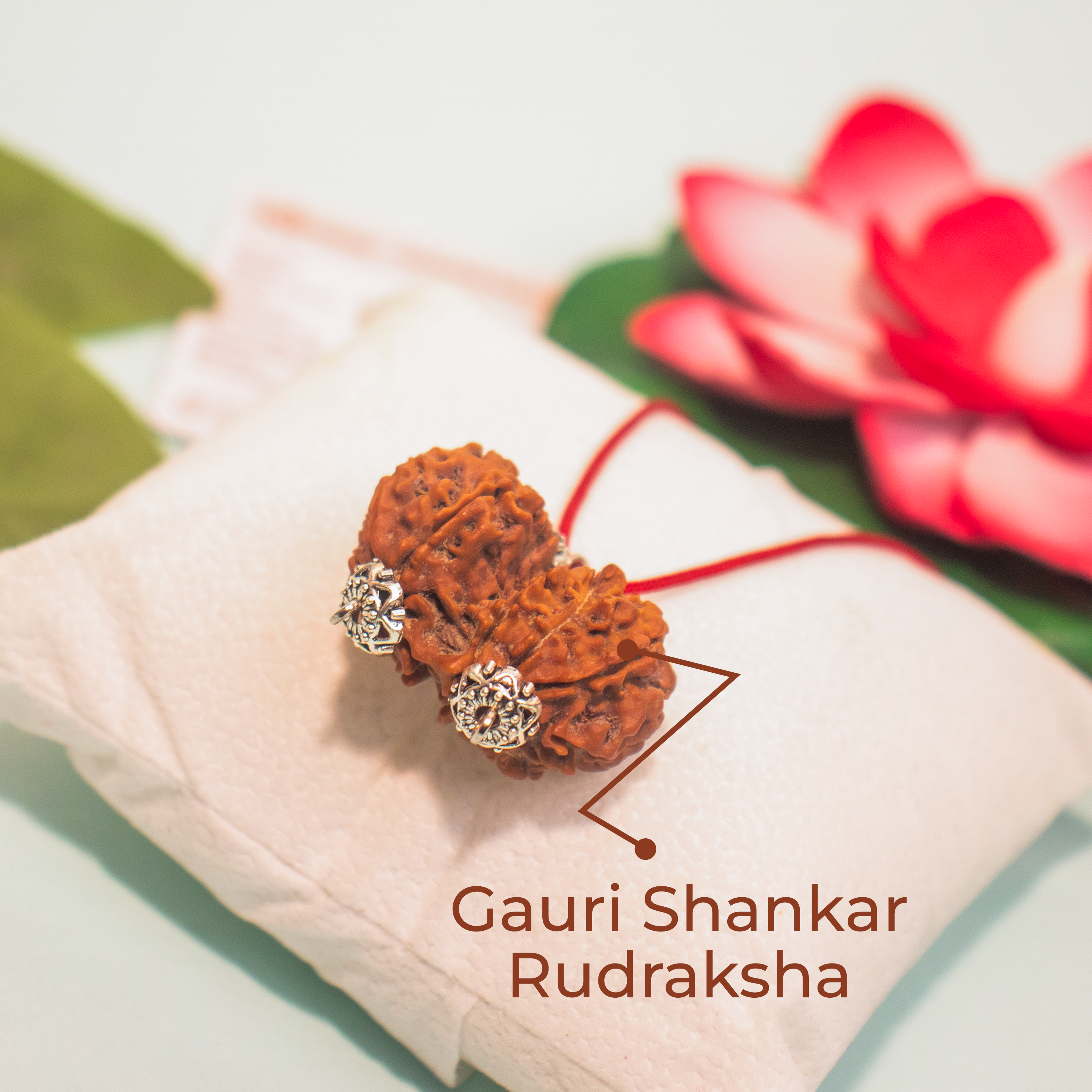 Gauri Shankar Nepali Rudraksha Pendant – Symbol of Divine Union & Harmony