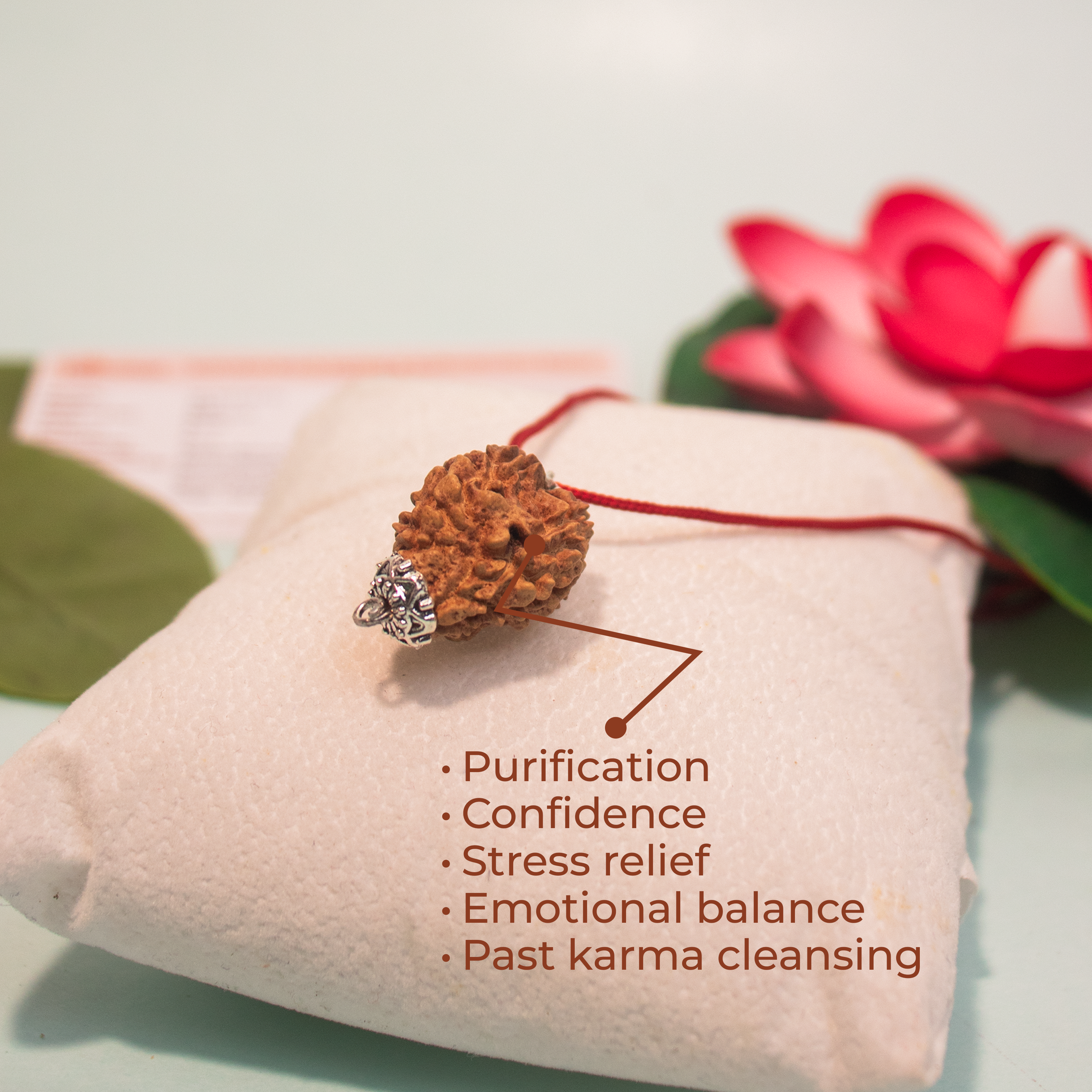 3 Mukhi Nepali Rudraksha Pendant – Energized & Authentic