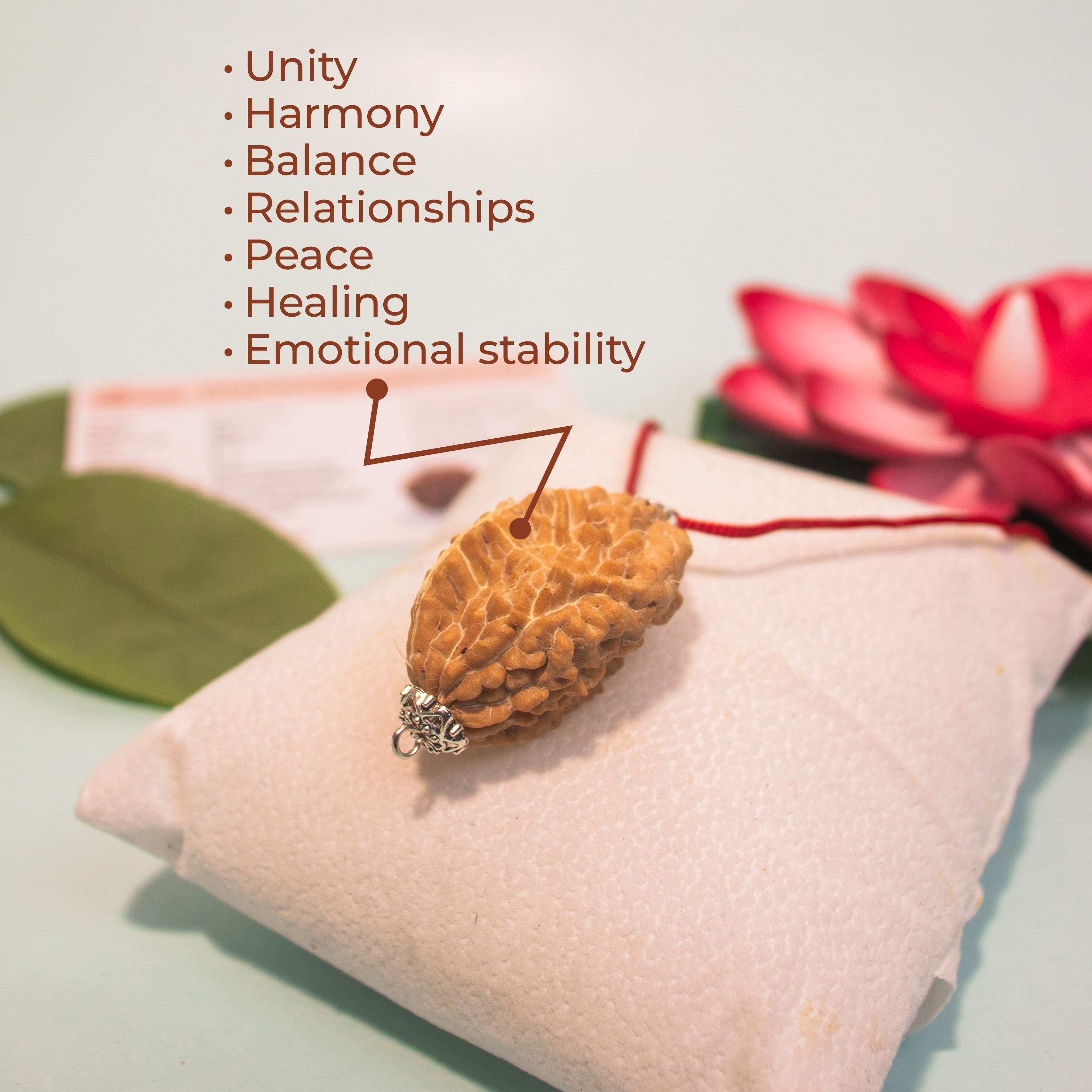 2 Mukhi Rudraksha Pendant from Dakshin Bharata