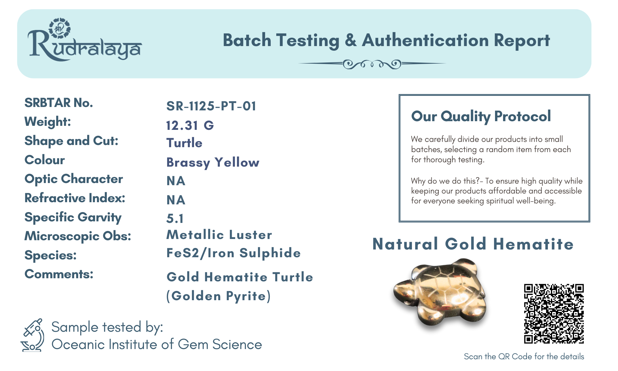 Natural Gold Hematite Turtle | Crystal Healing Stone Figurine for Protection, Wealth & Positive Energy