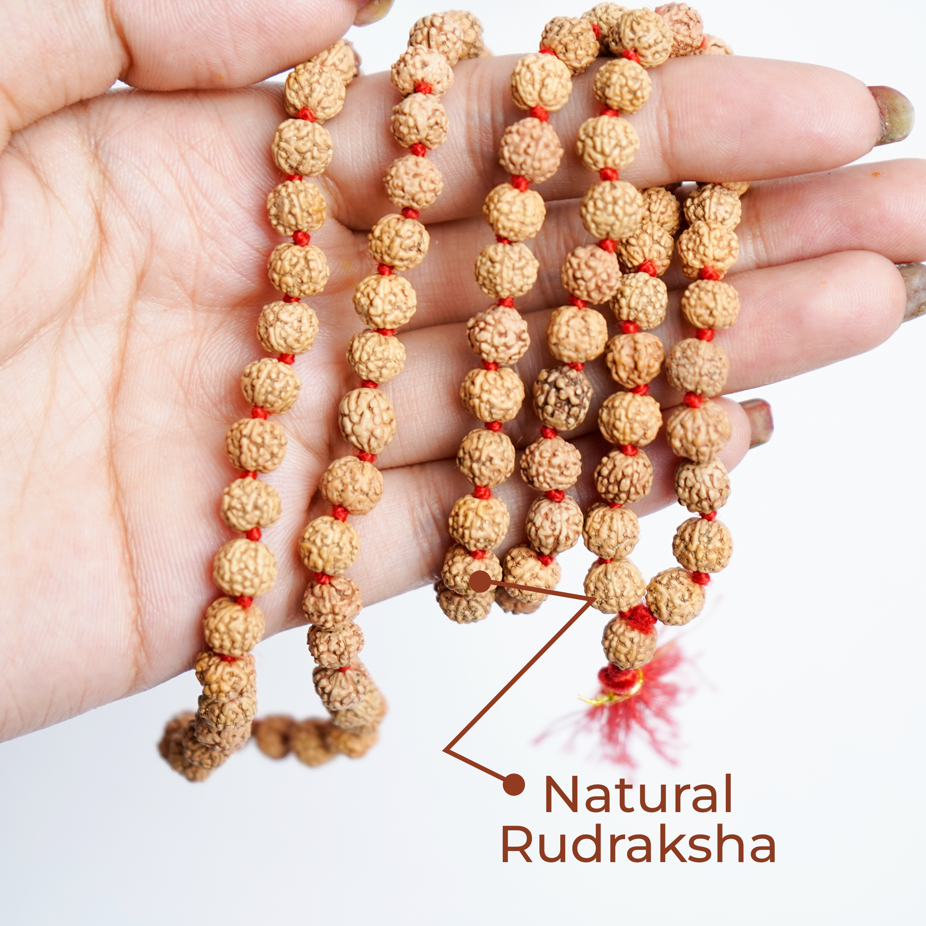 Natural Rudraksha Mala | 108+1 Beads Spiritual Mala