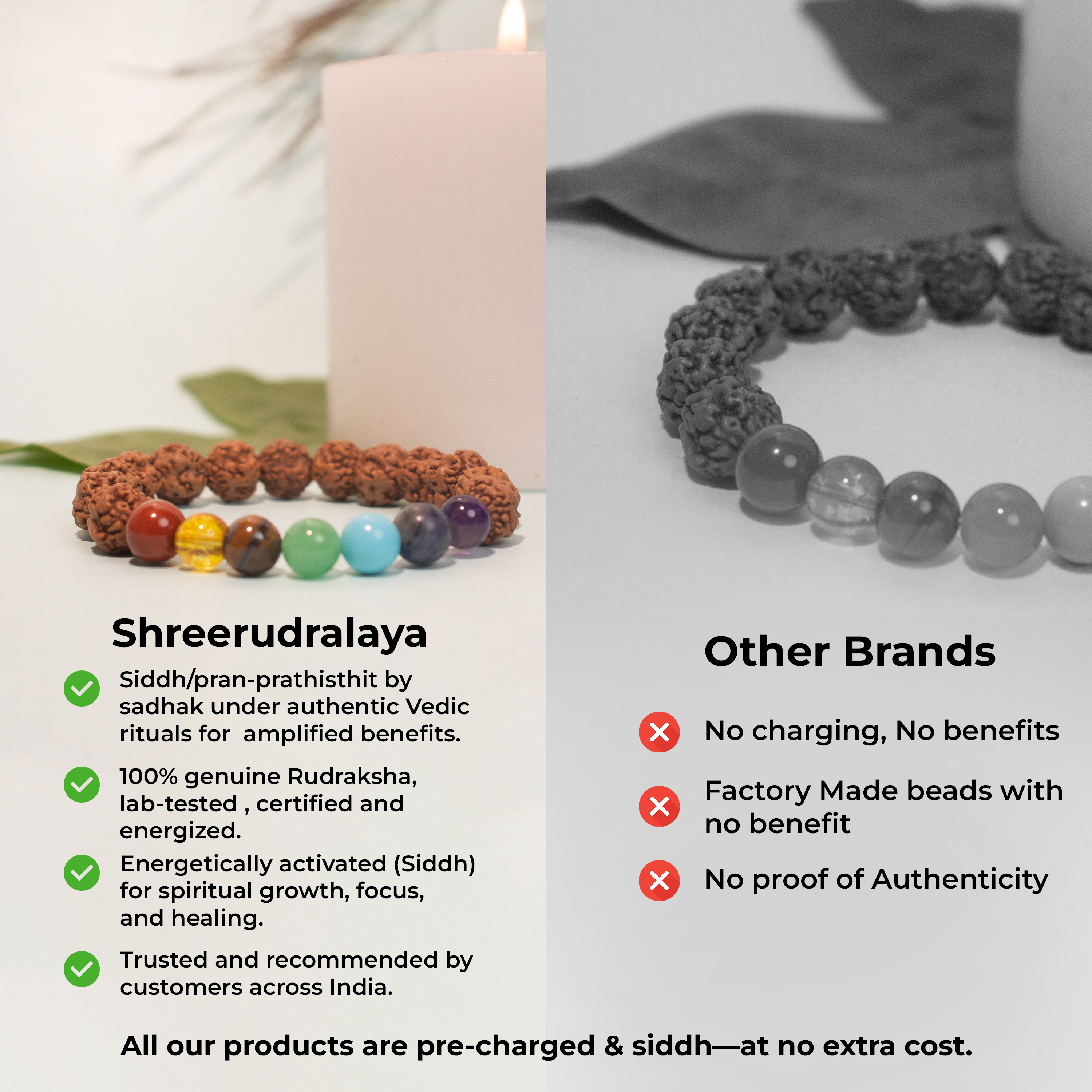 Natural Rudraksha with 7 Chakra Bracelet