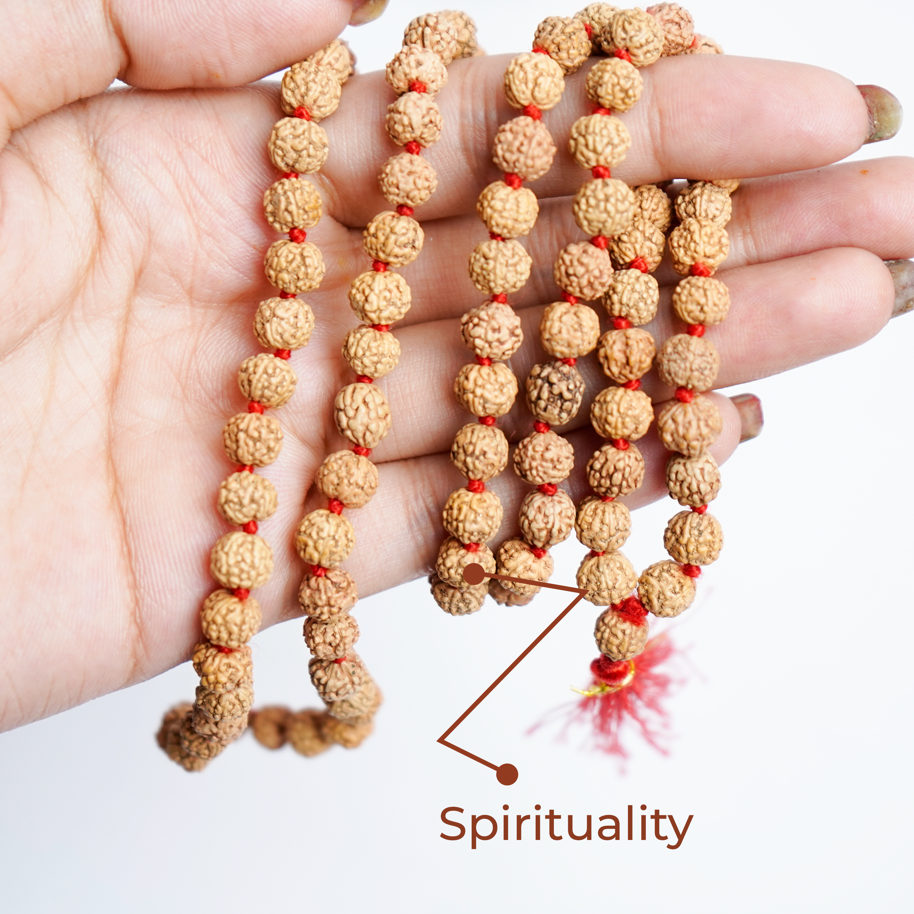 Natural Rudraksha Mala | 108+1 Beads Spiritual Mala