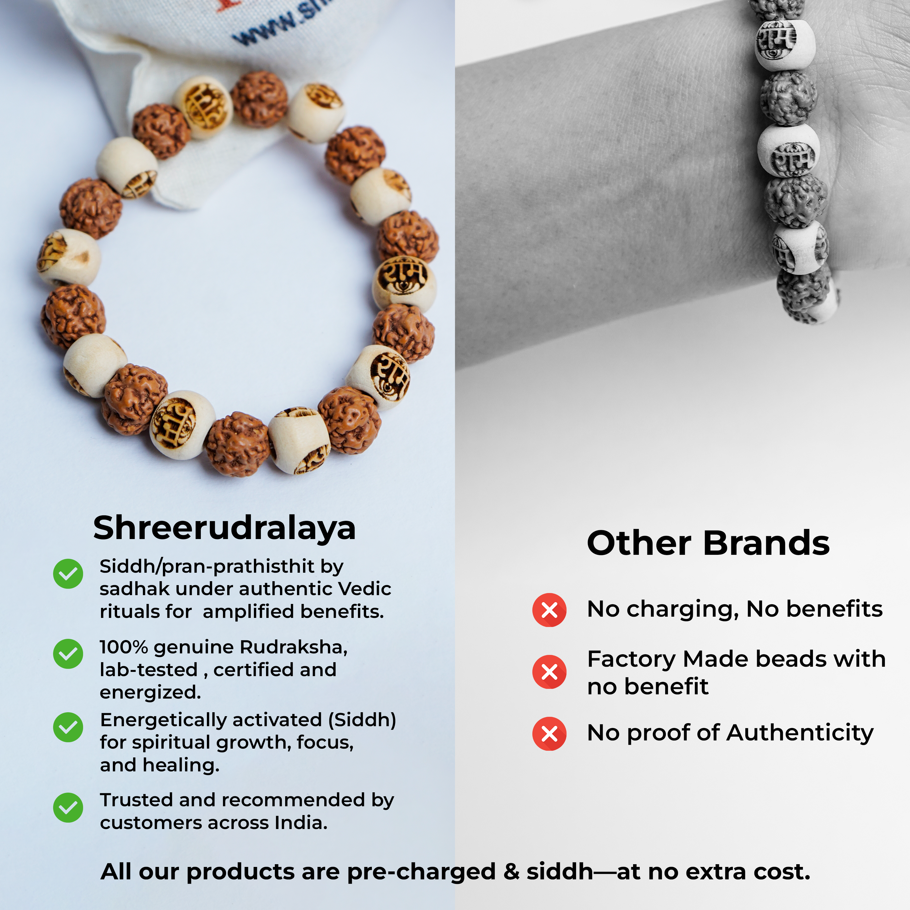 Sacred Raam Wood & Rudraksha Healing Bracelet