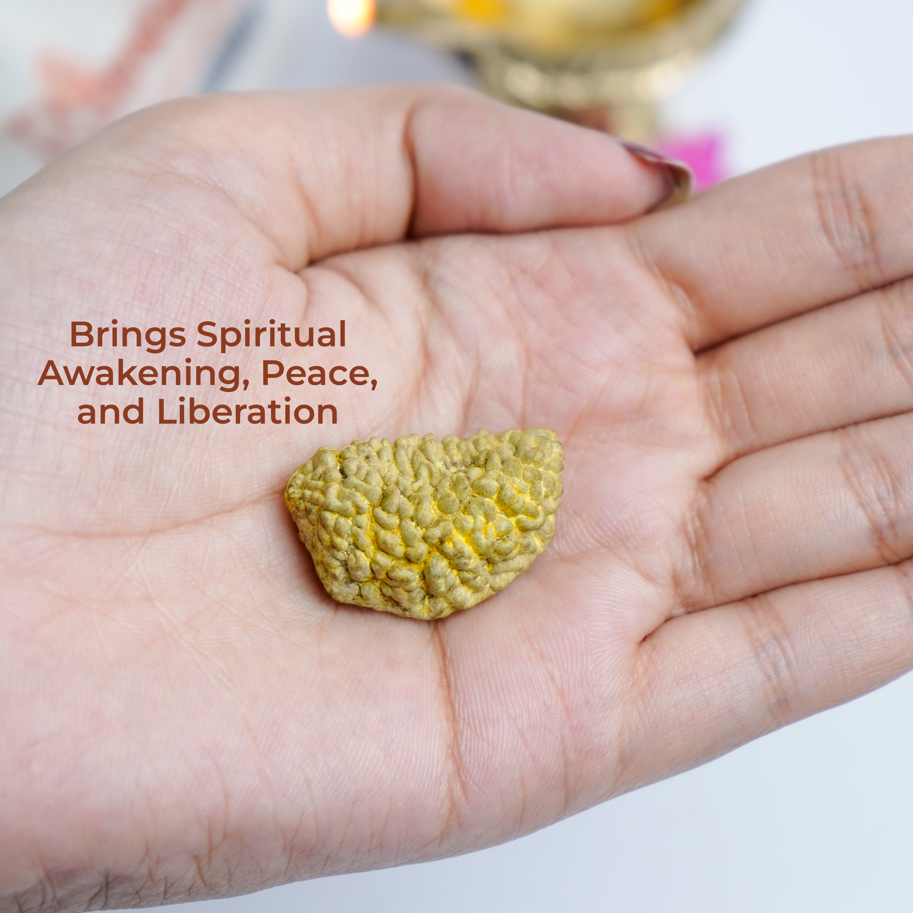 1 Mukhi Rudraksha - Supreme Spiritual Power & Consciousness Awakening