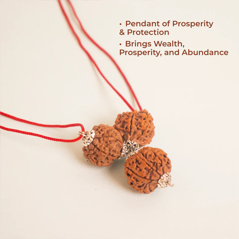 Mahalaxmi Kartikeya Pendant – 2 Seven Mukhi & 1 Six Mukhi Rudraksha