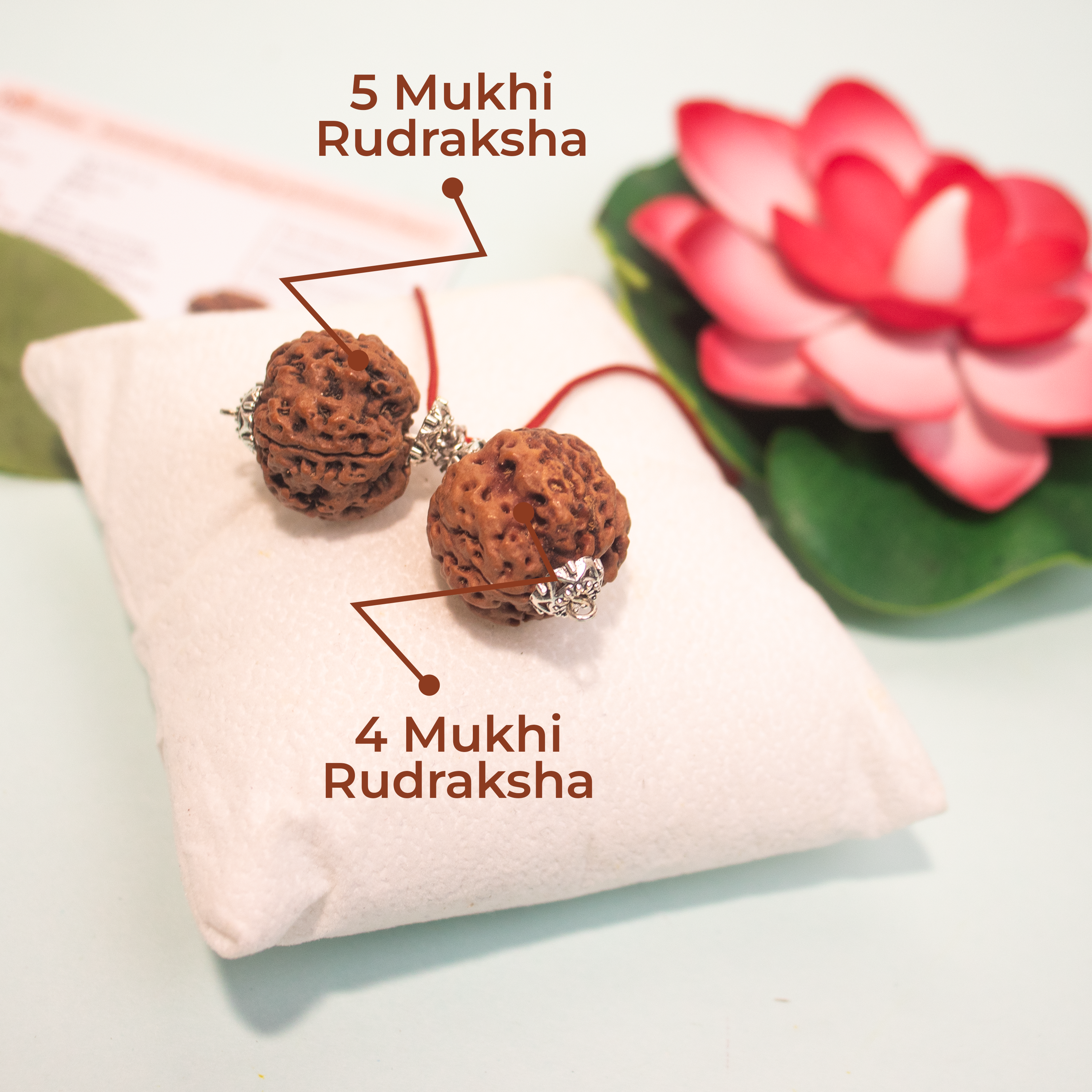 Mind peace pendent (4 & 5 mukhi combined)-“For Stress, Migraine & Anxiety Relief – Experience True Calmness.”