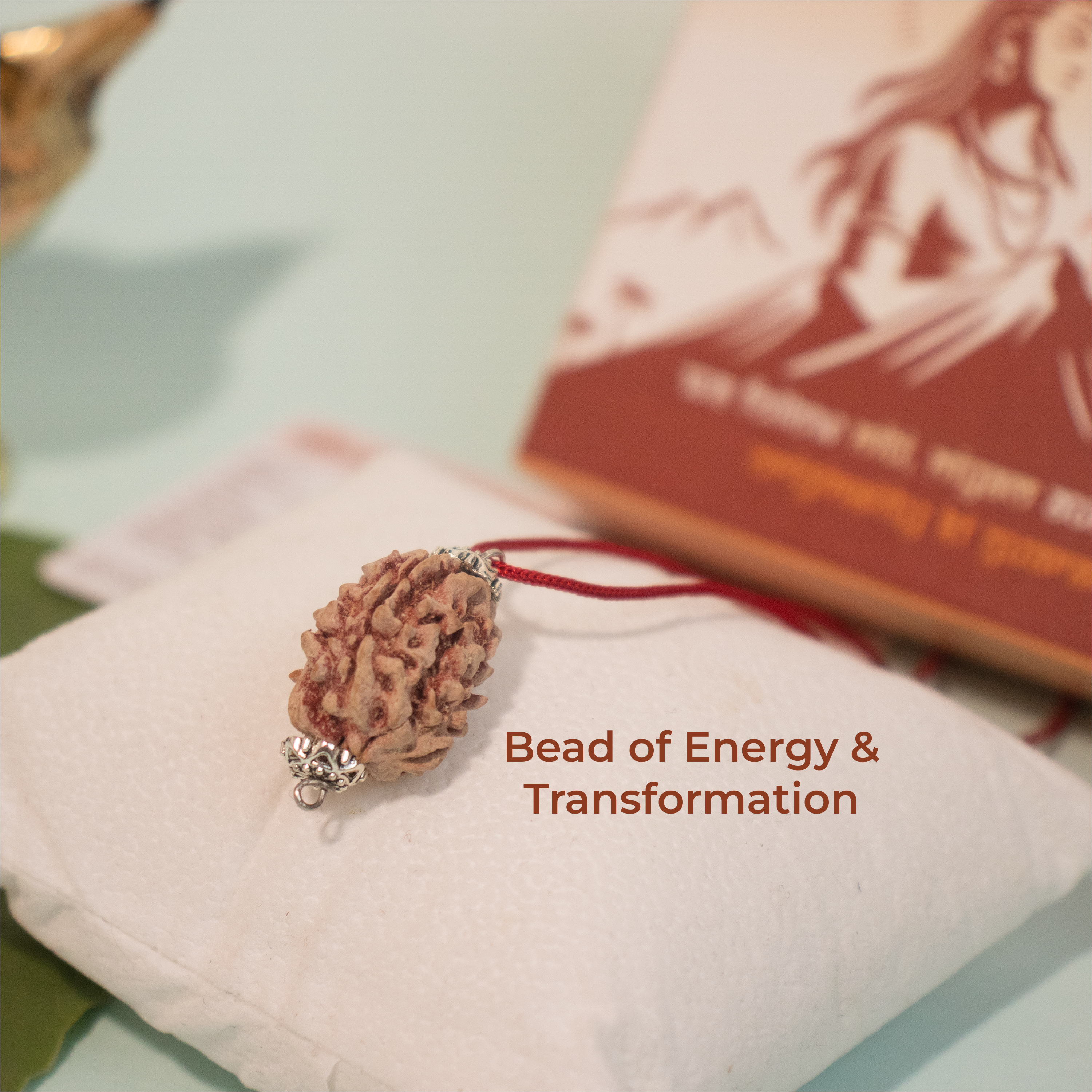 3 Mukhi Rudraksha from Dakshin Bharata – Energized & Authentic