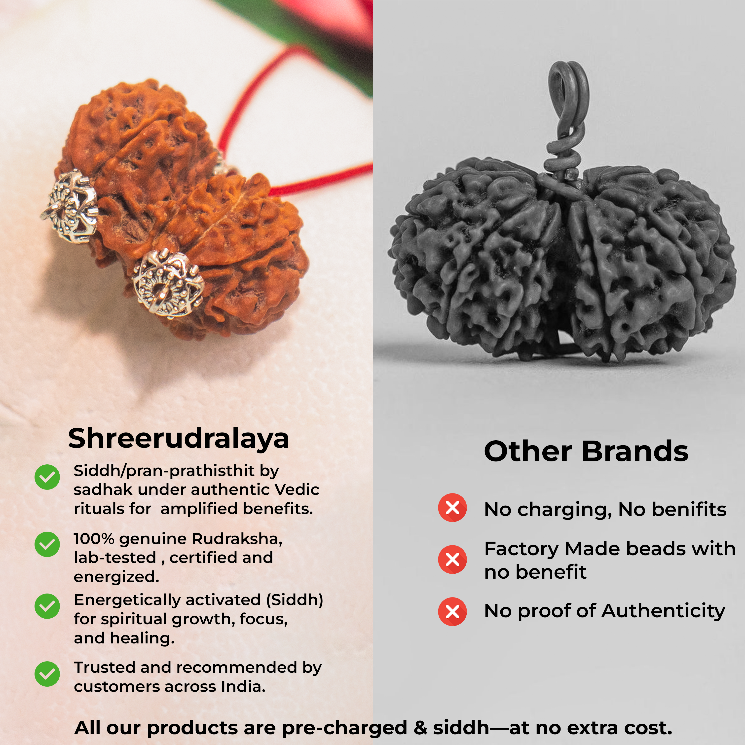 Gauri Shankar Nepali Rudraksha Pendant – Symbol of Divine Union & Harmony