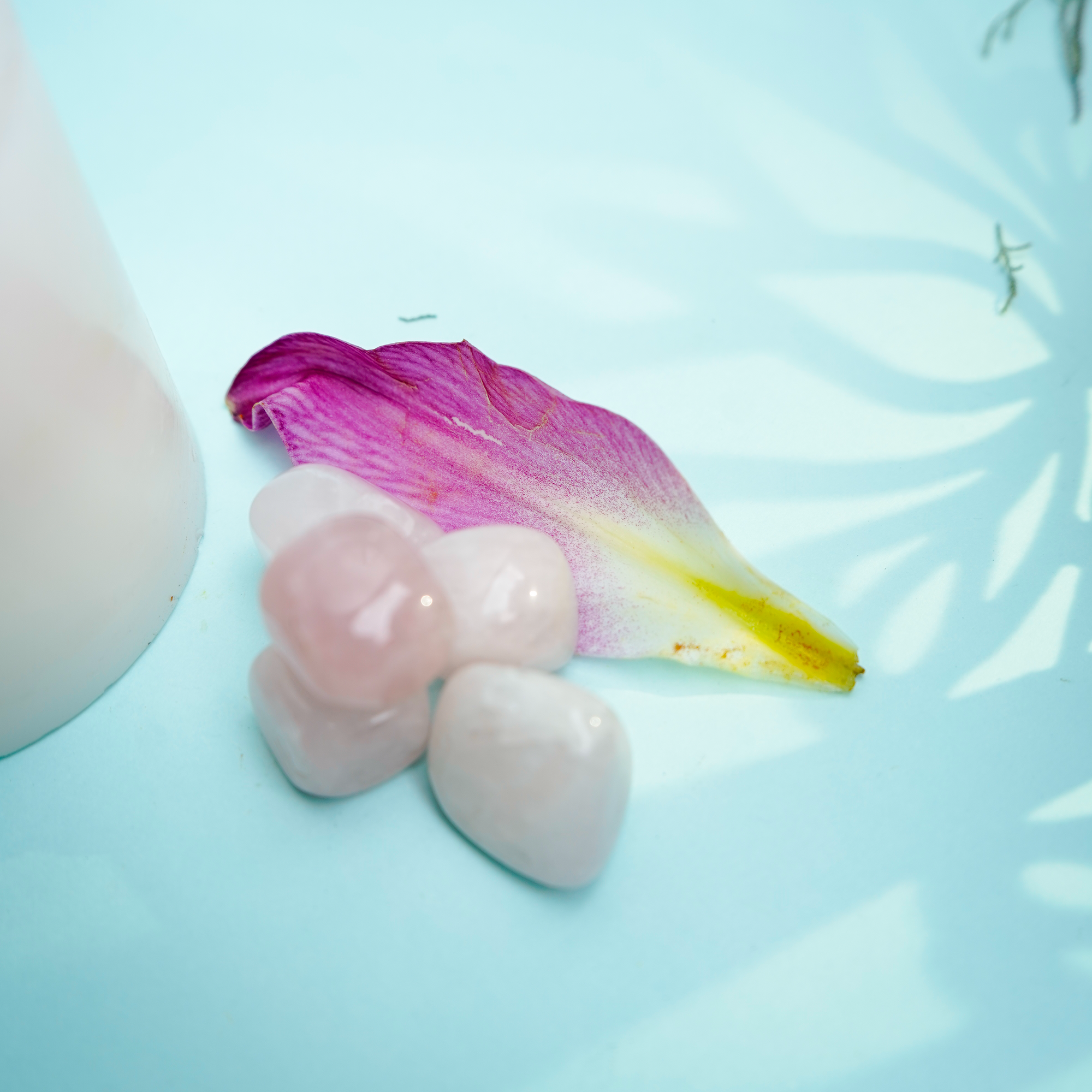 Natural Rose Quartz Tumble Stone