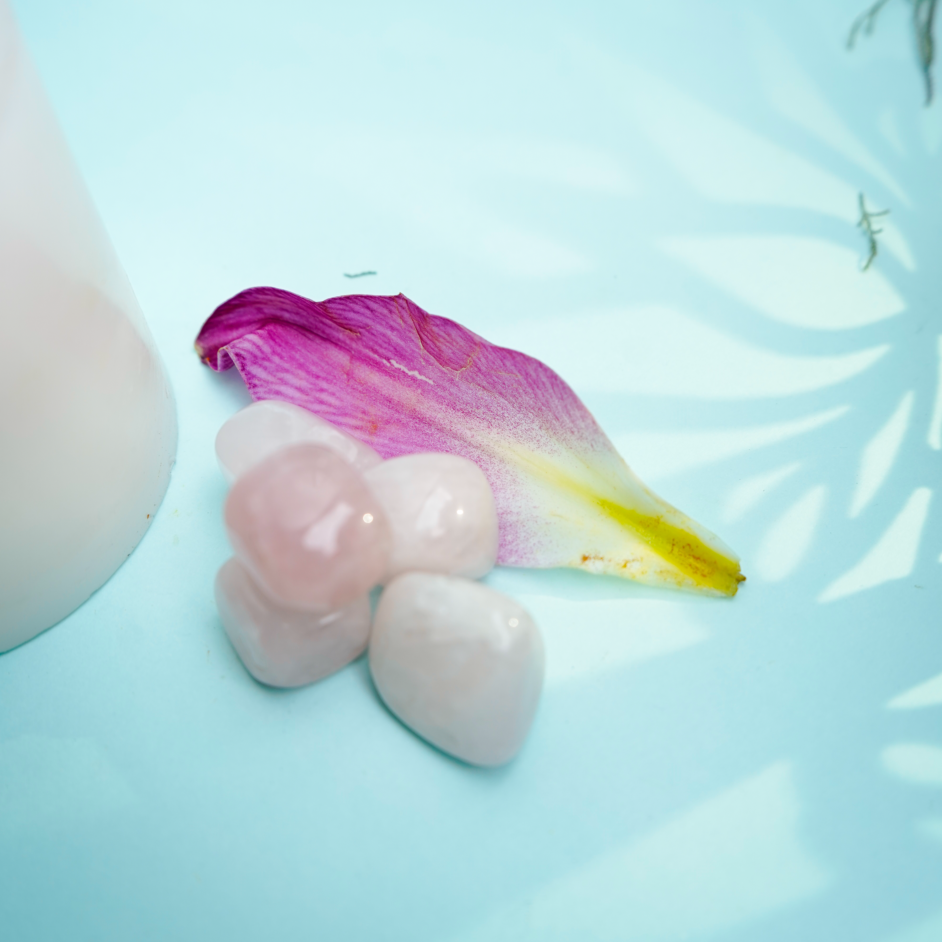 Natural Rose Quartz Tumble Stone