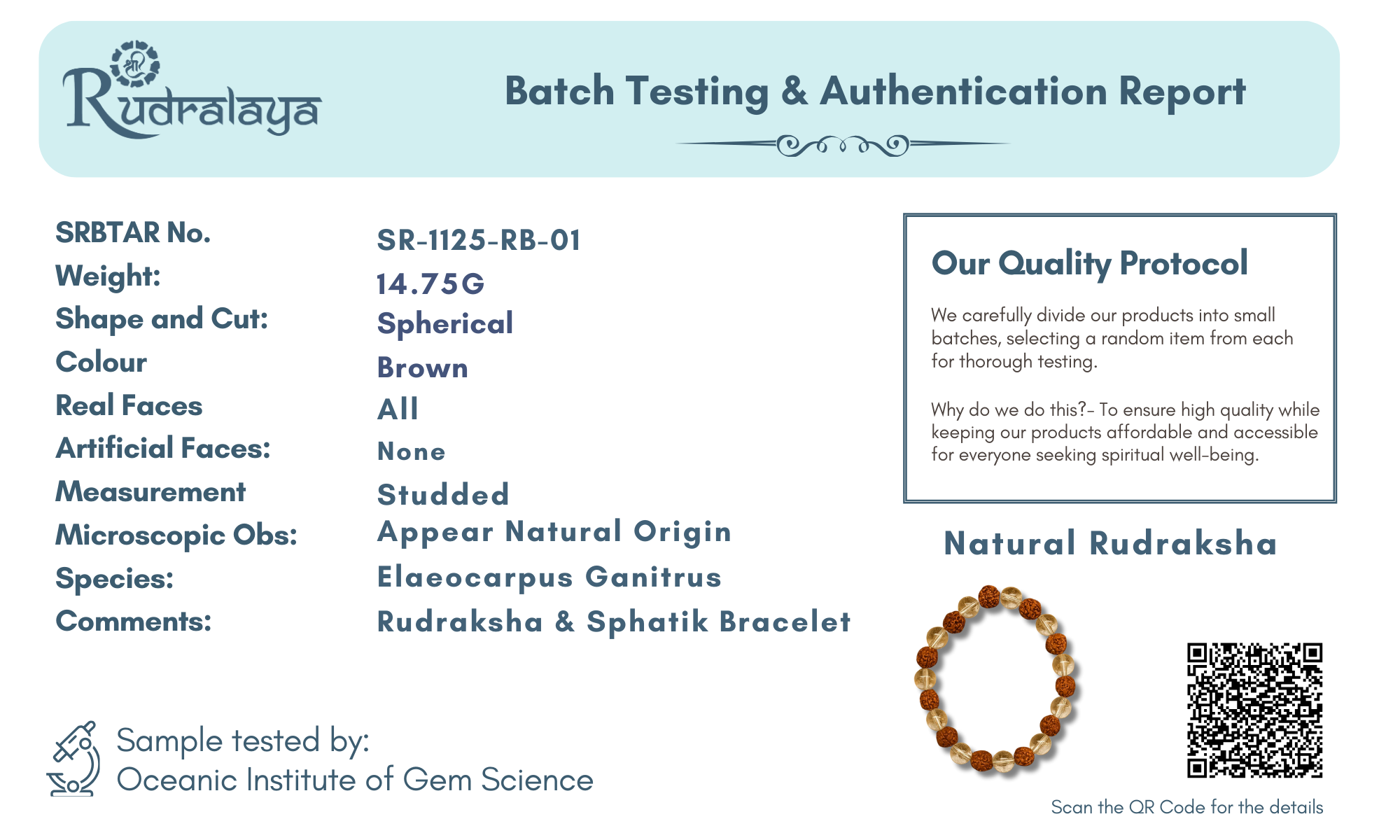 Natural Rudraksha & Sphatik Crystal Bracelet