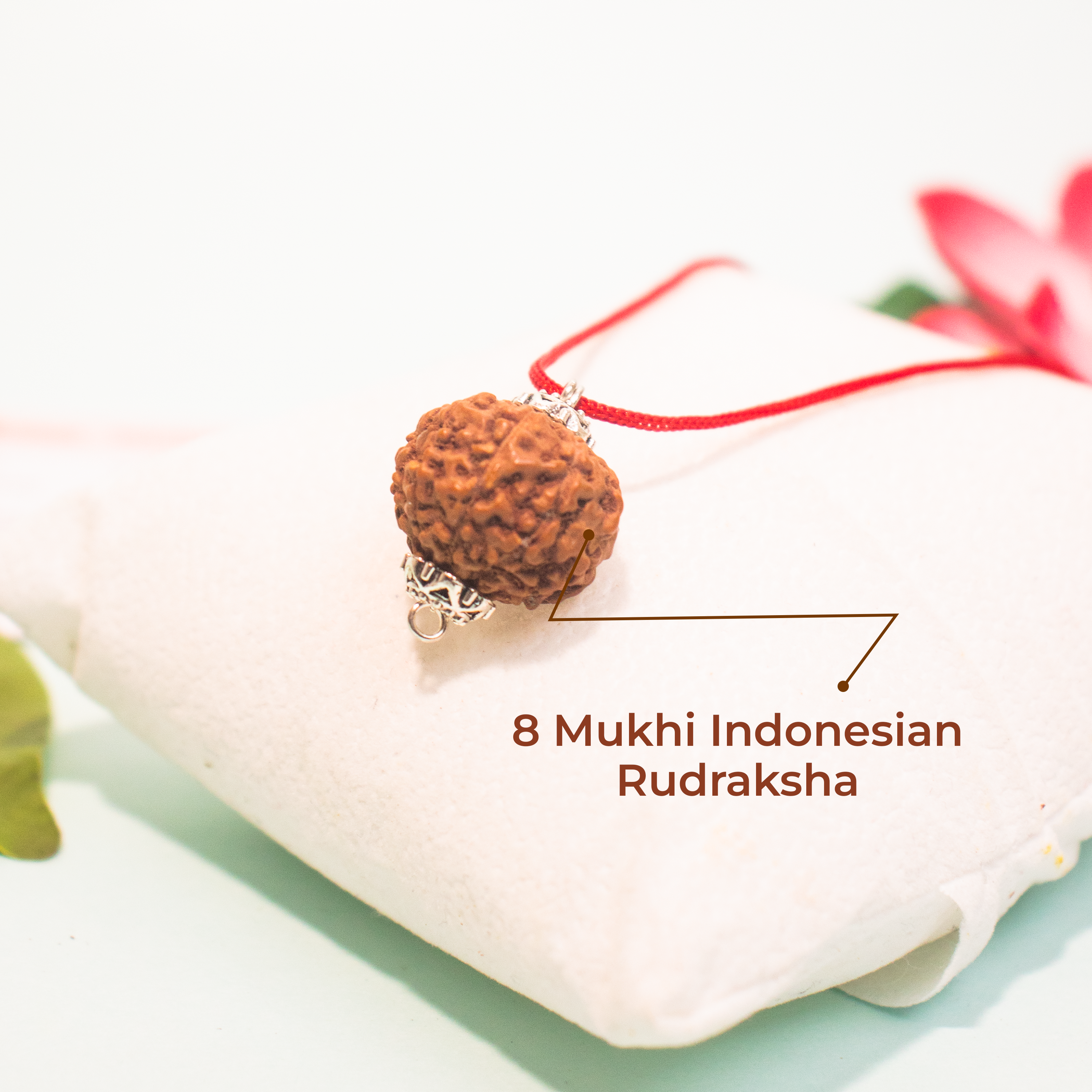8 Mukhi Indonesian Rudraksha – Energized & Authentic