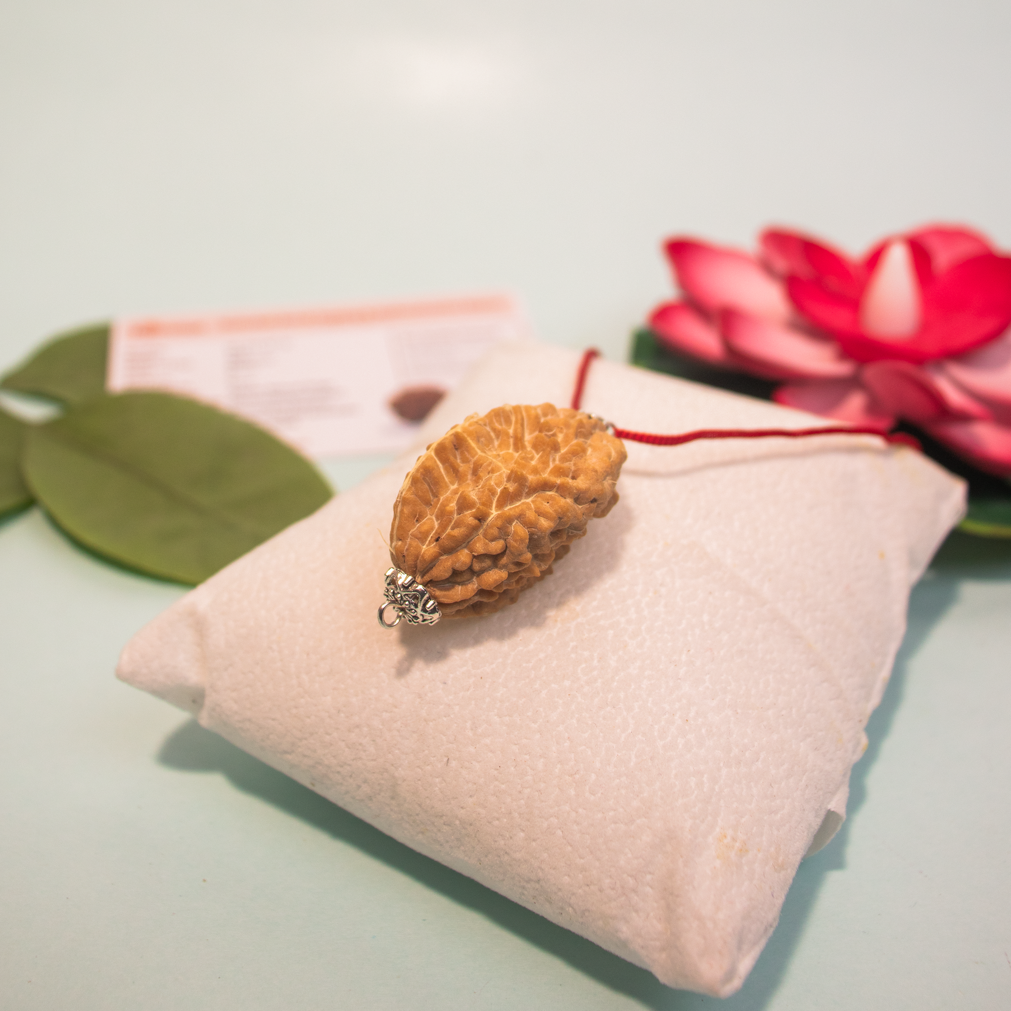 2 Mukhi Rudraksha Pendant from Dakshin Bharata