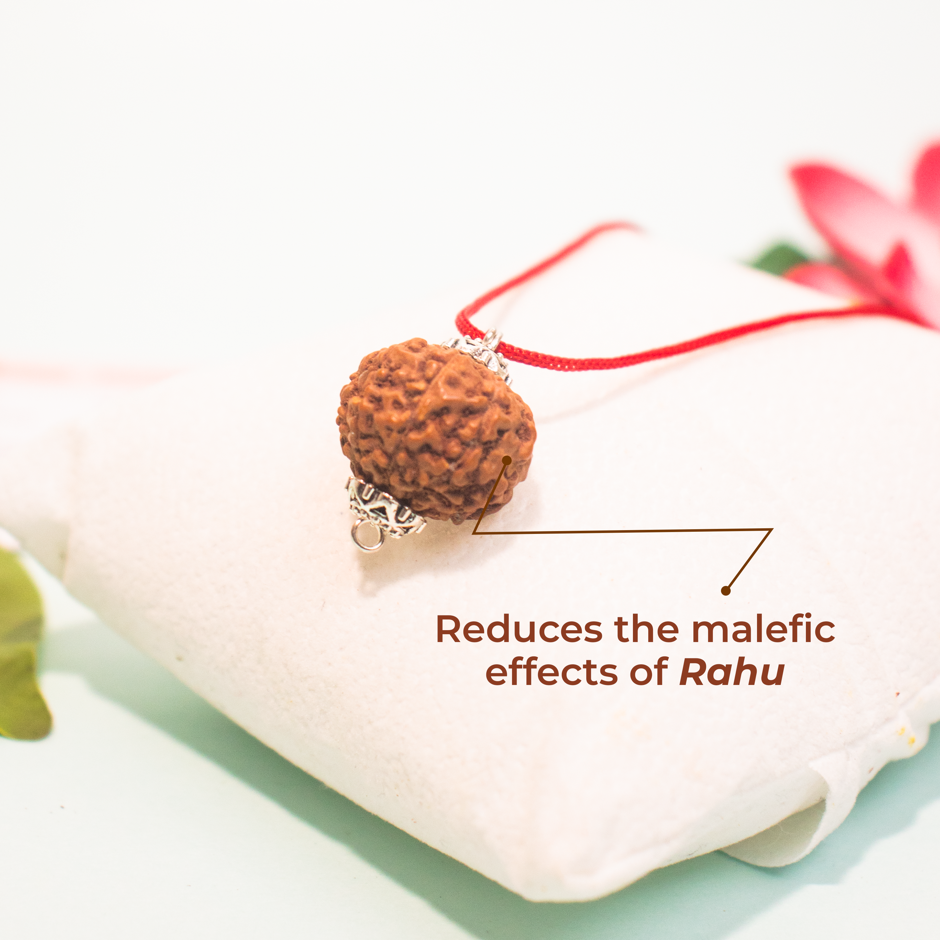 8 Mukhi Indonesian Rudraksha – Energized & Authentic