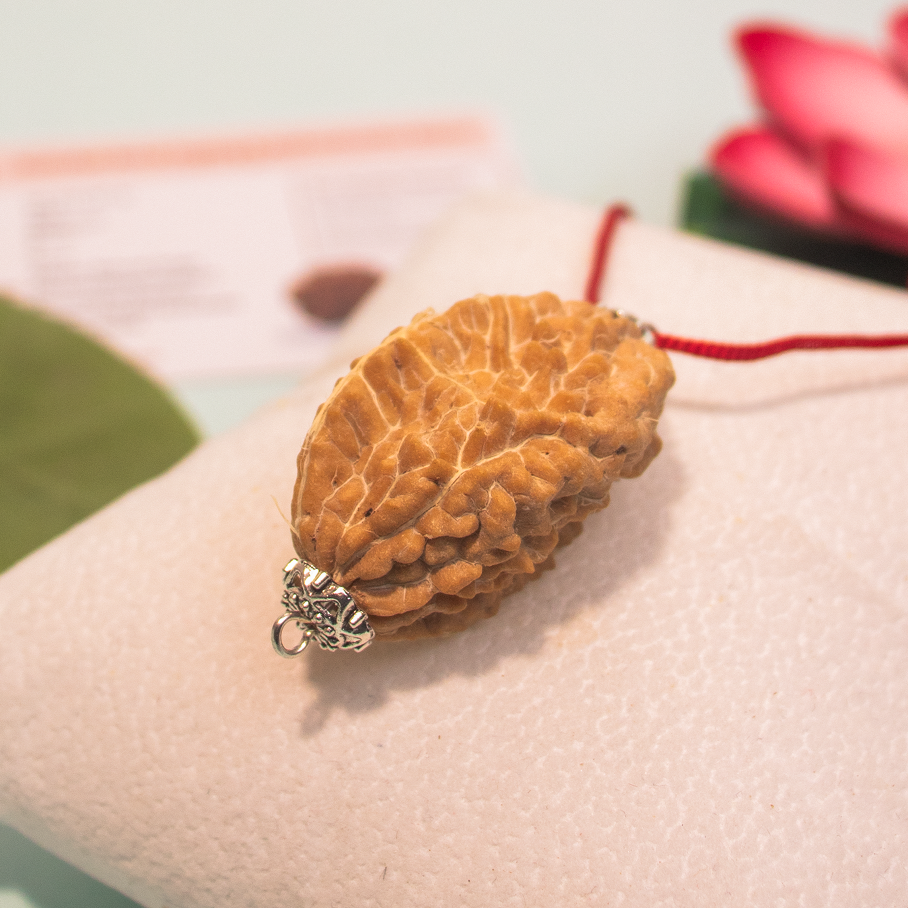 2 Mukhi Rudraksha Pendant from Dakshin Bharata