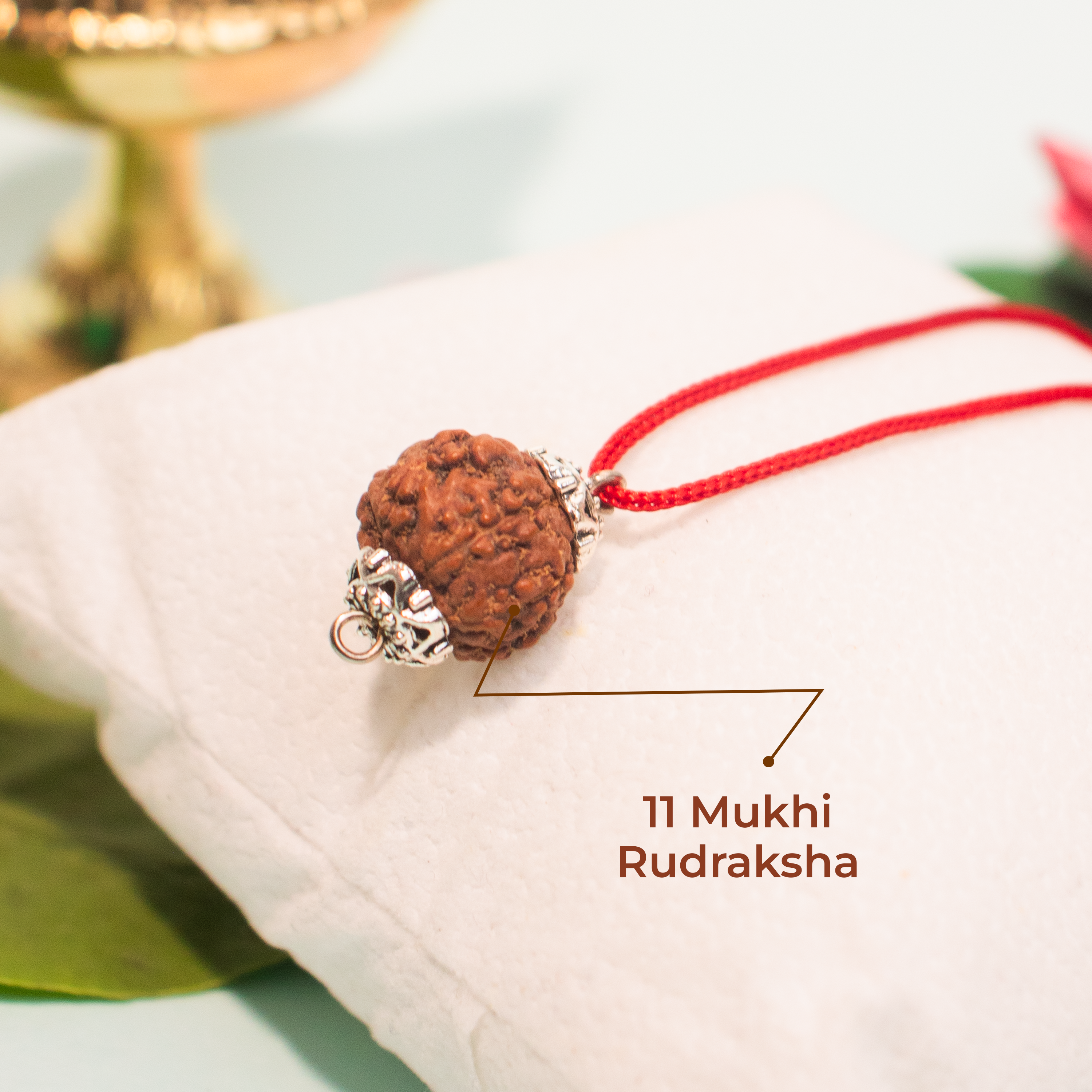 11 Mukhi Indonesian Rudraksha – Divine Wisdom & Protection