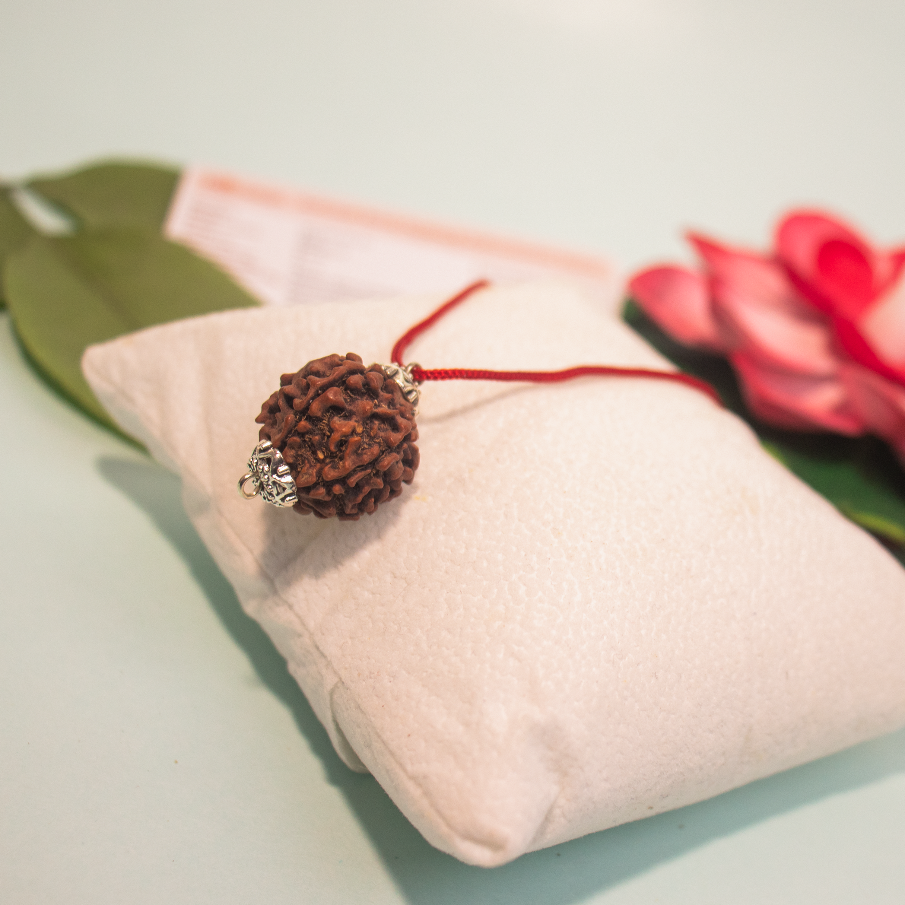 6 Mukhi Rudraksha Pendant – Confidence, Wisdom & Emotional Strength