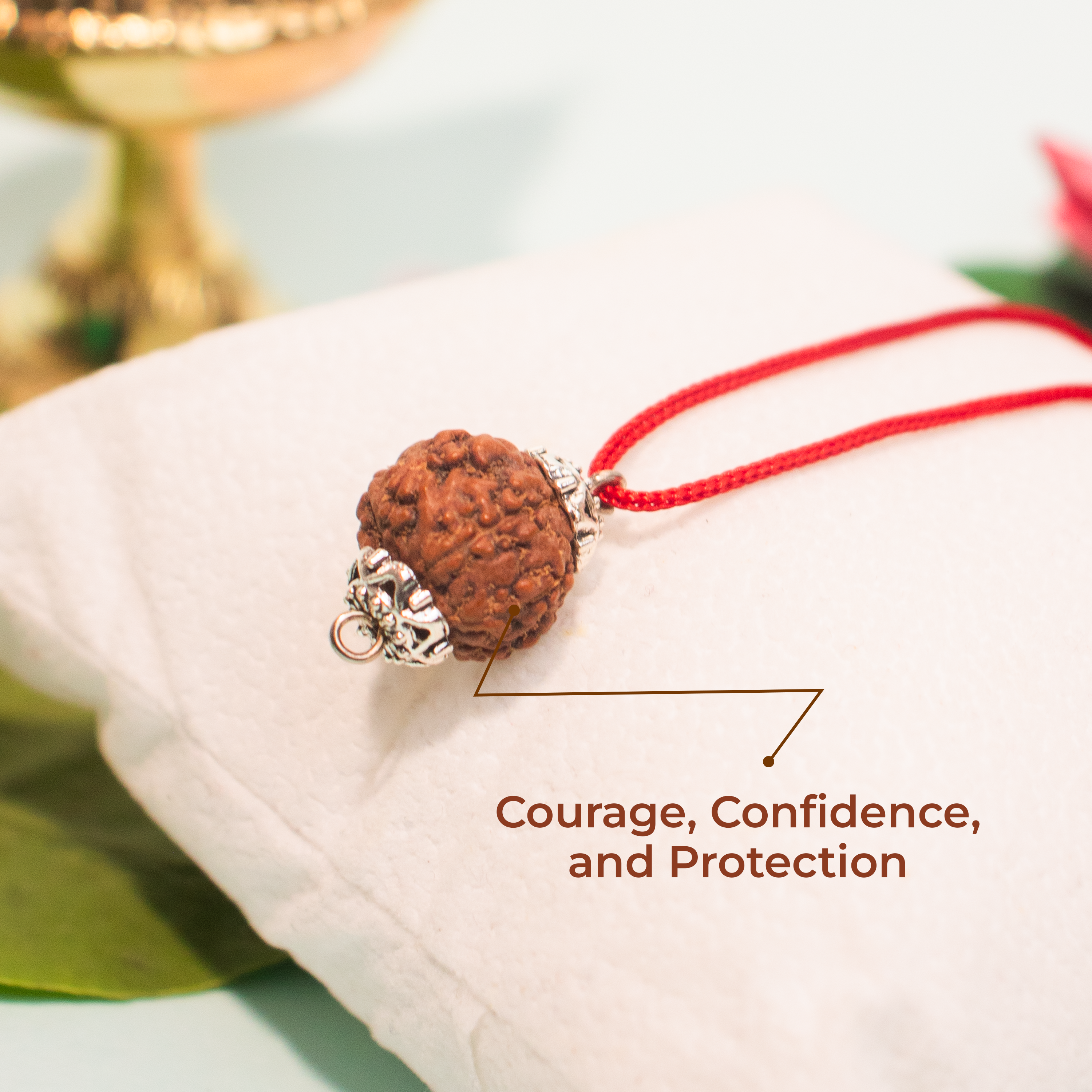 11 Mukhi Indonesian Rudraksha – Divine Wisdom & Protection