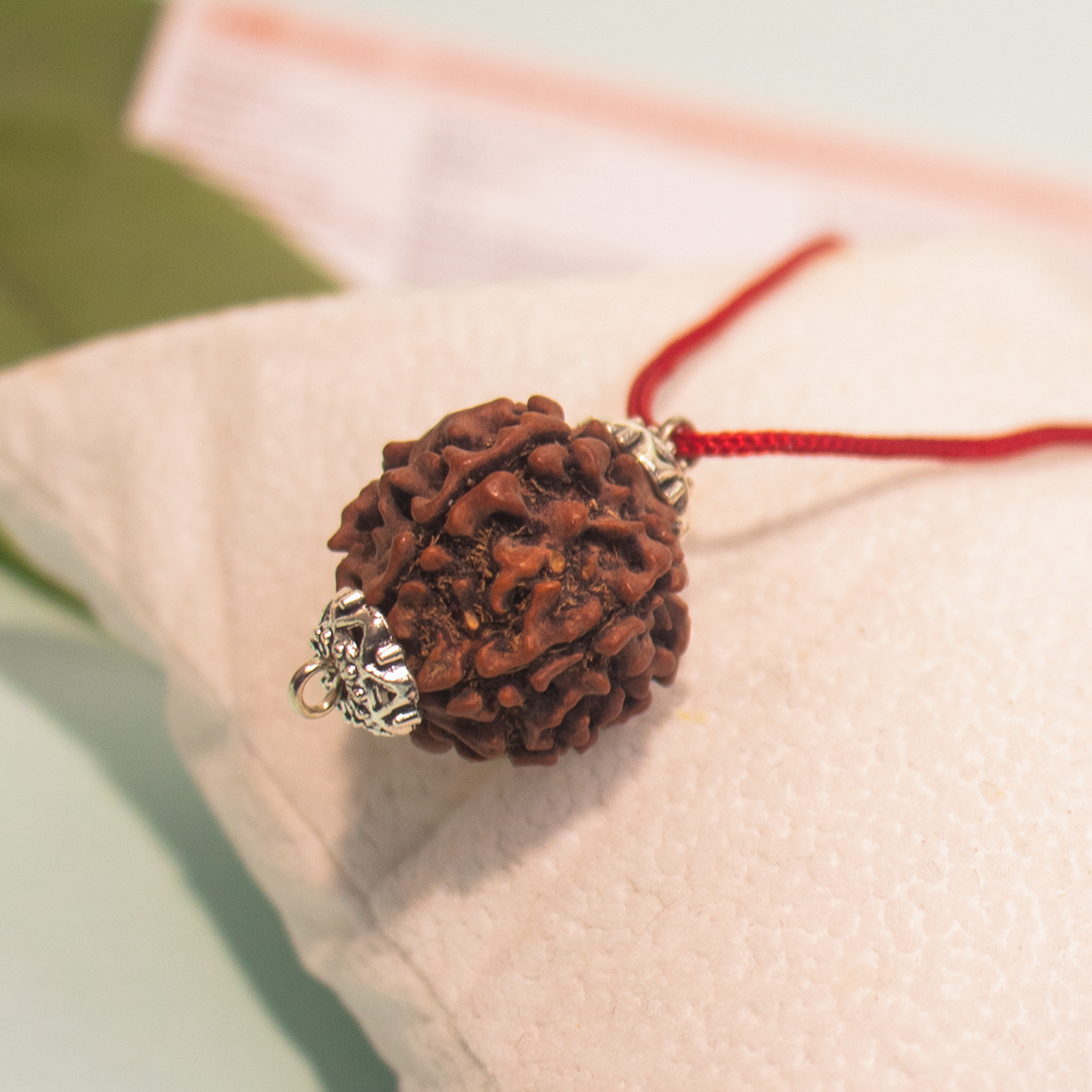 6 Mukhi Rudraksha Pendant – Confidence, Wisdom & Emotional Strength