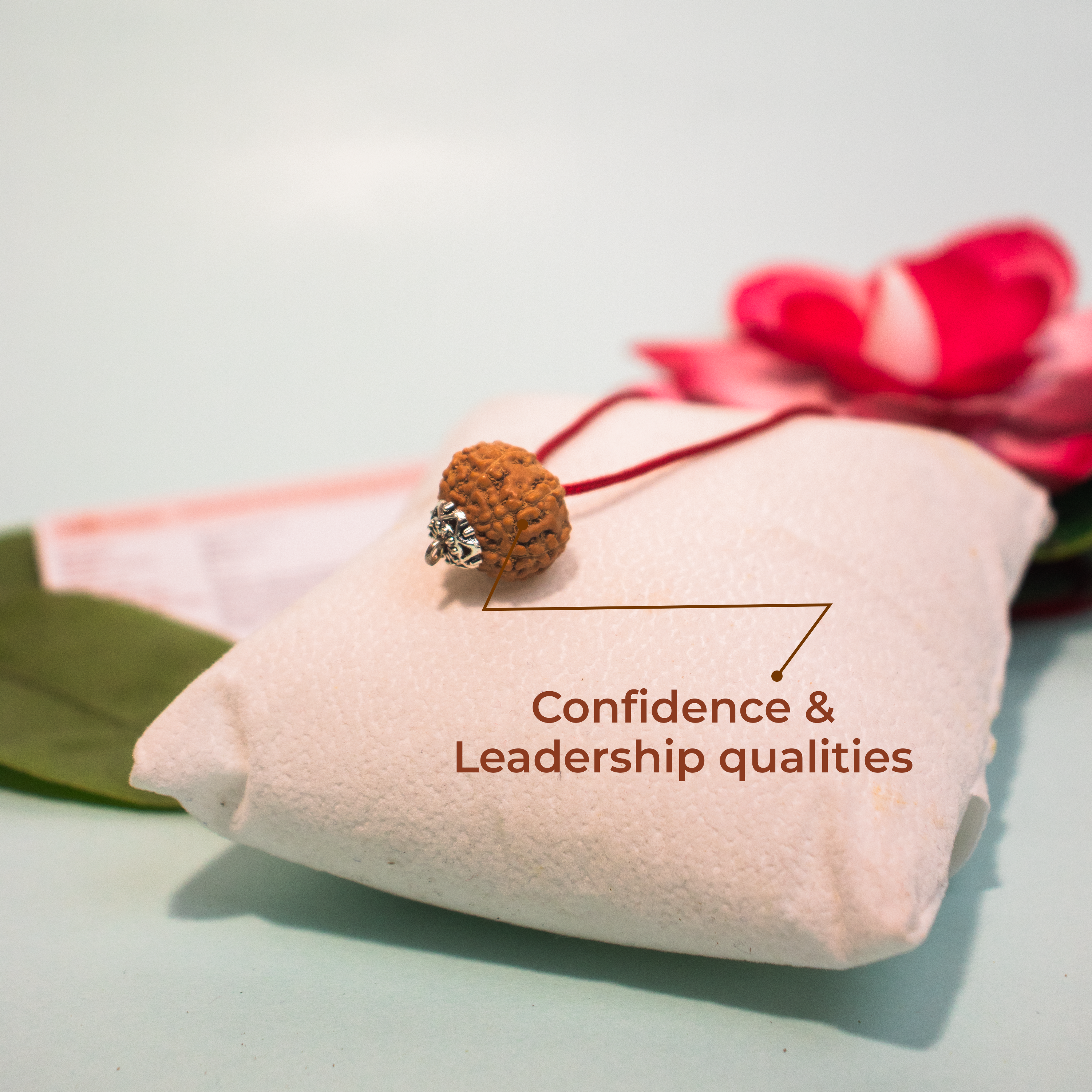 12 Mukhi Indonesian Rudraksha – Surya Dev Energized Bead