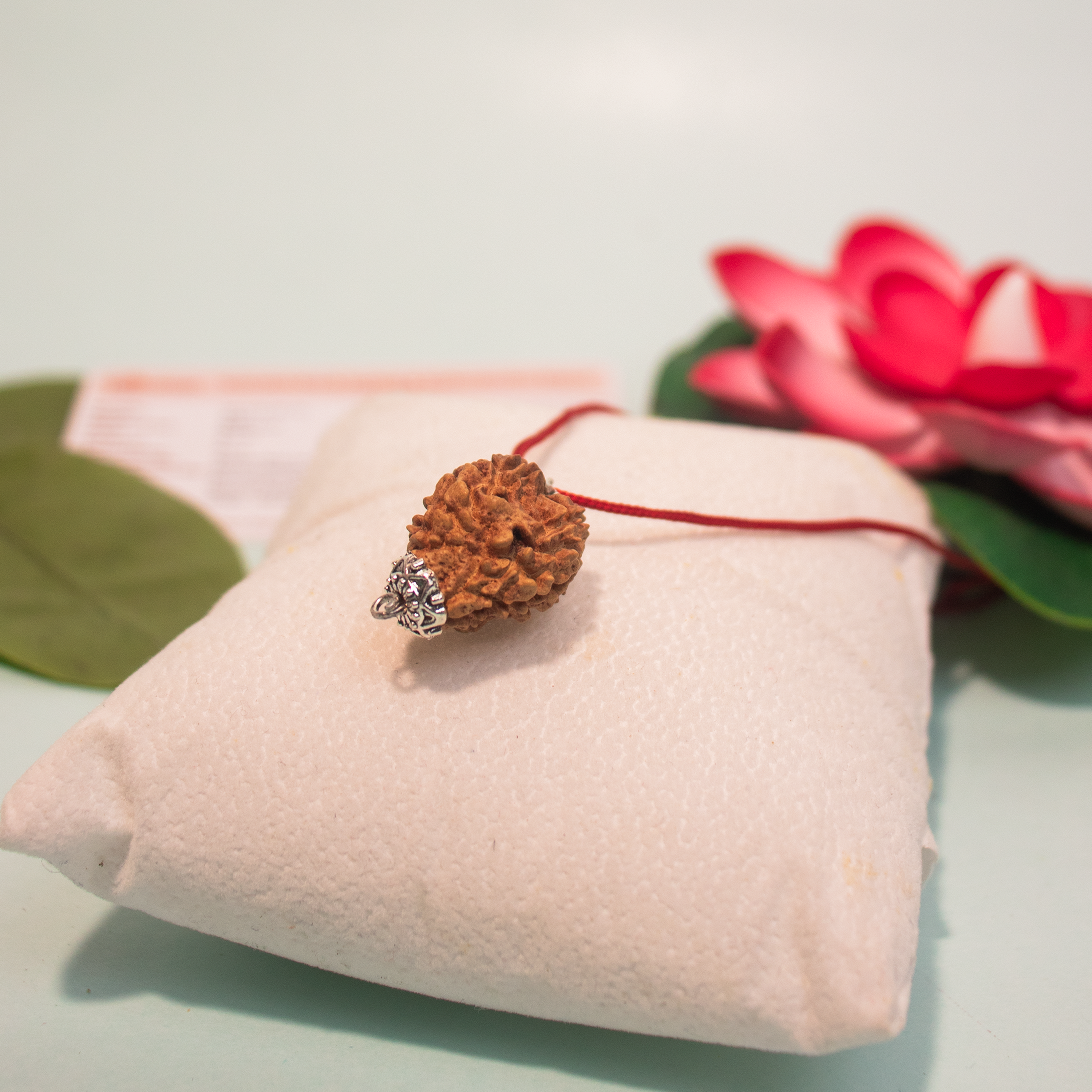 3 Mukhi Nepali Rudraksha Pendant – Energized & Authentic