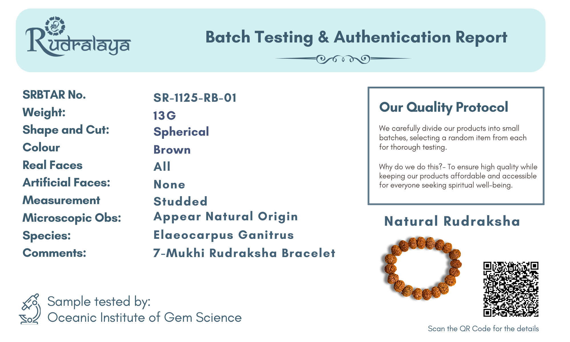 7 Mukhi Rudraksha Bracelet – Wealth, Health & Divine Blessings
