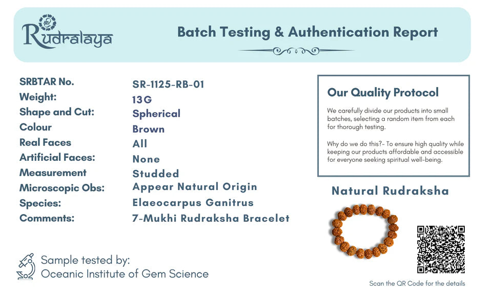 7 Mukhi Rudraksha Bracelet & 7 Mukhi Rudraksha Pendant Combo