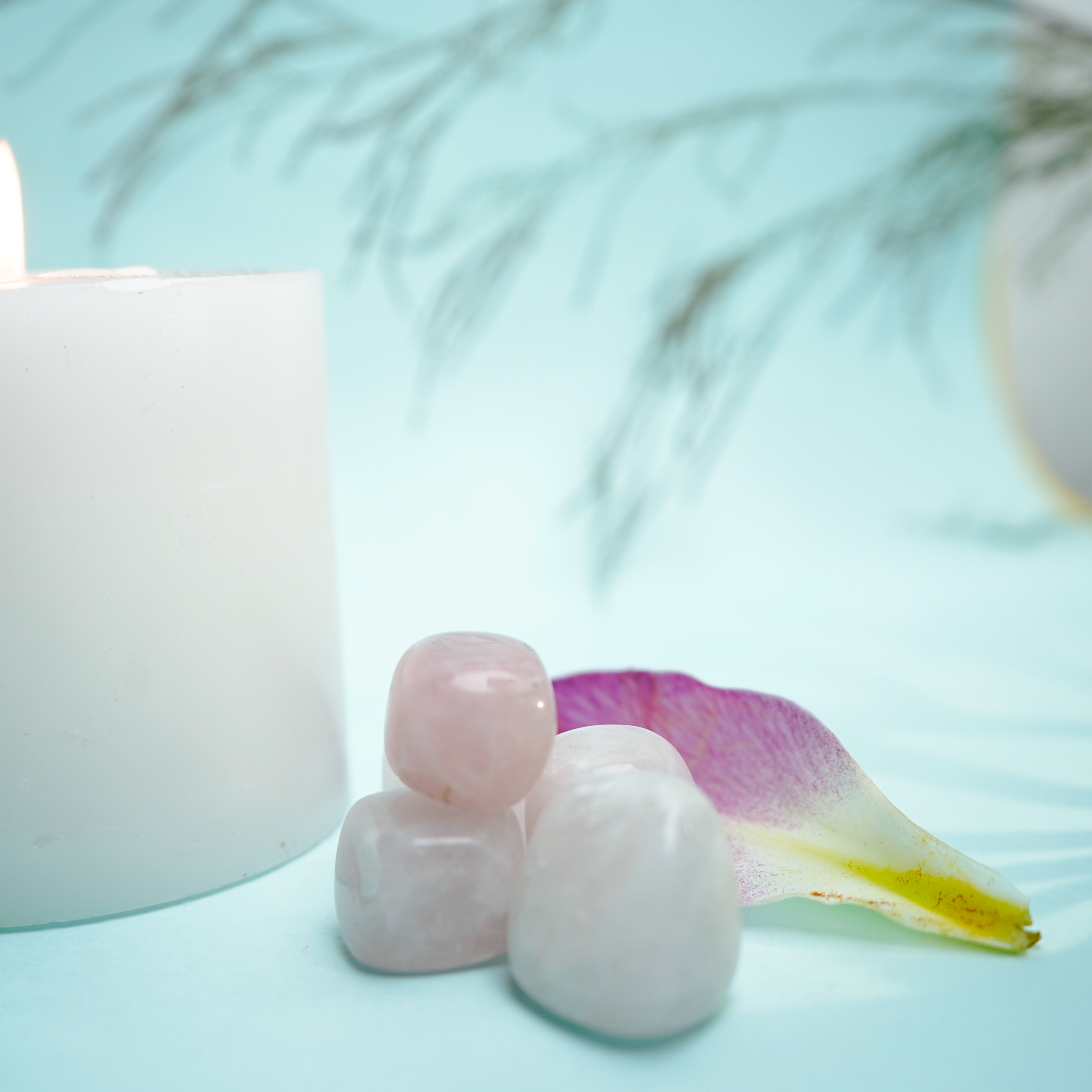 Natural Rose Quartz Tumble Stone