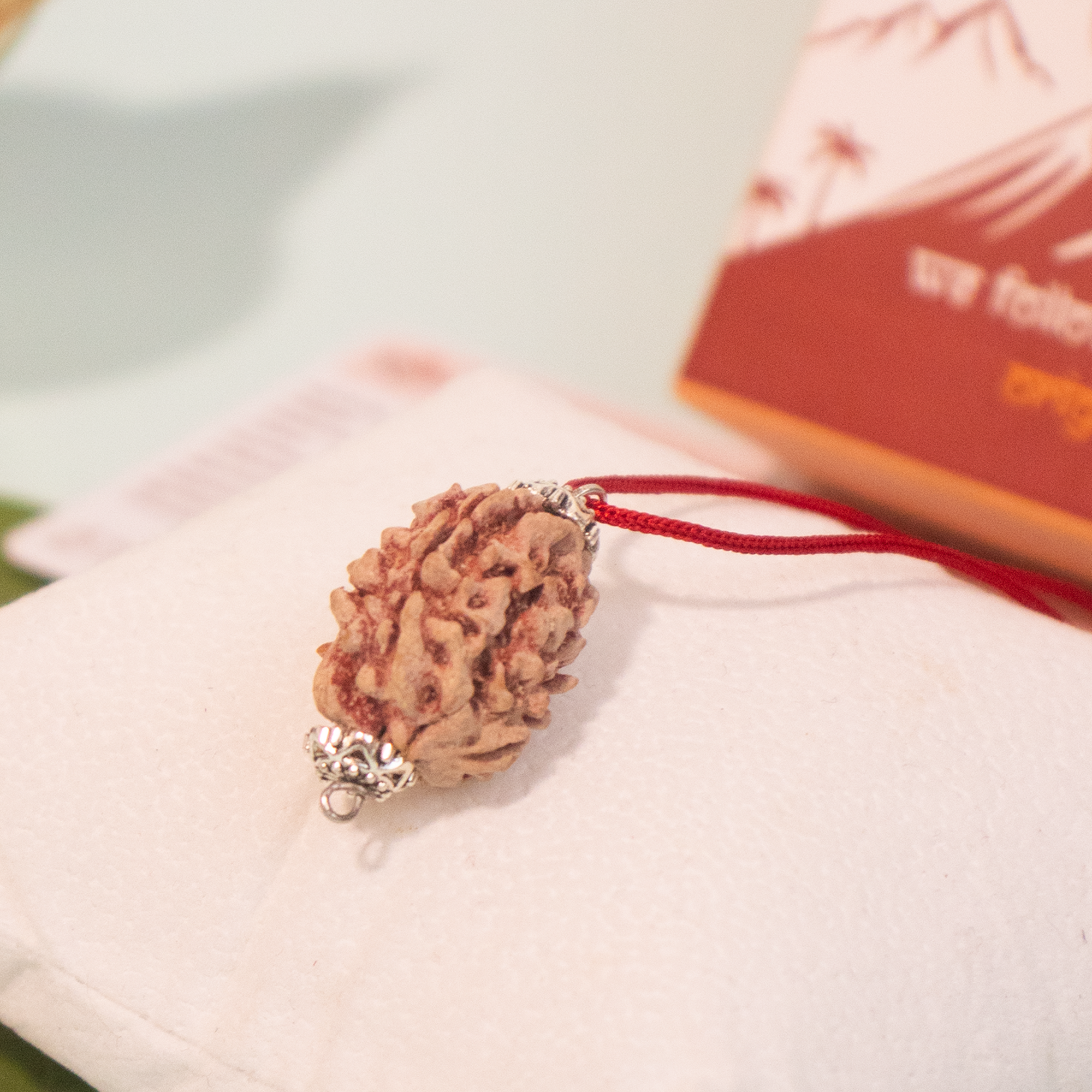 3 Mukhi Rudraksha from Dakshin Bharata – Energized & Authentic