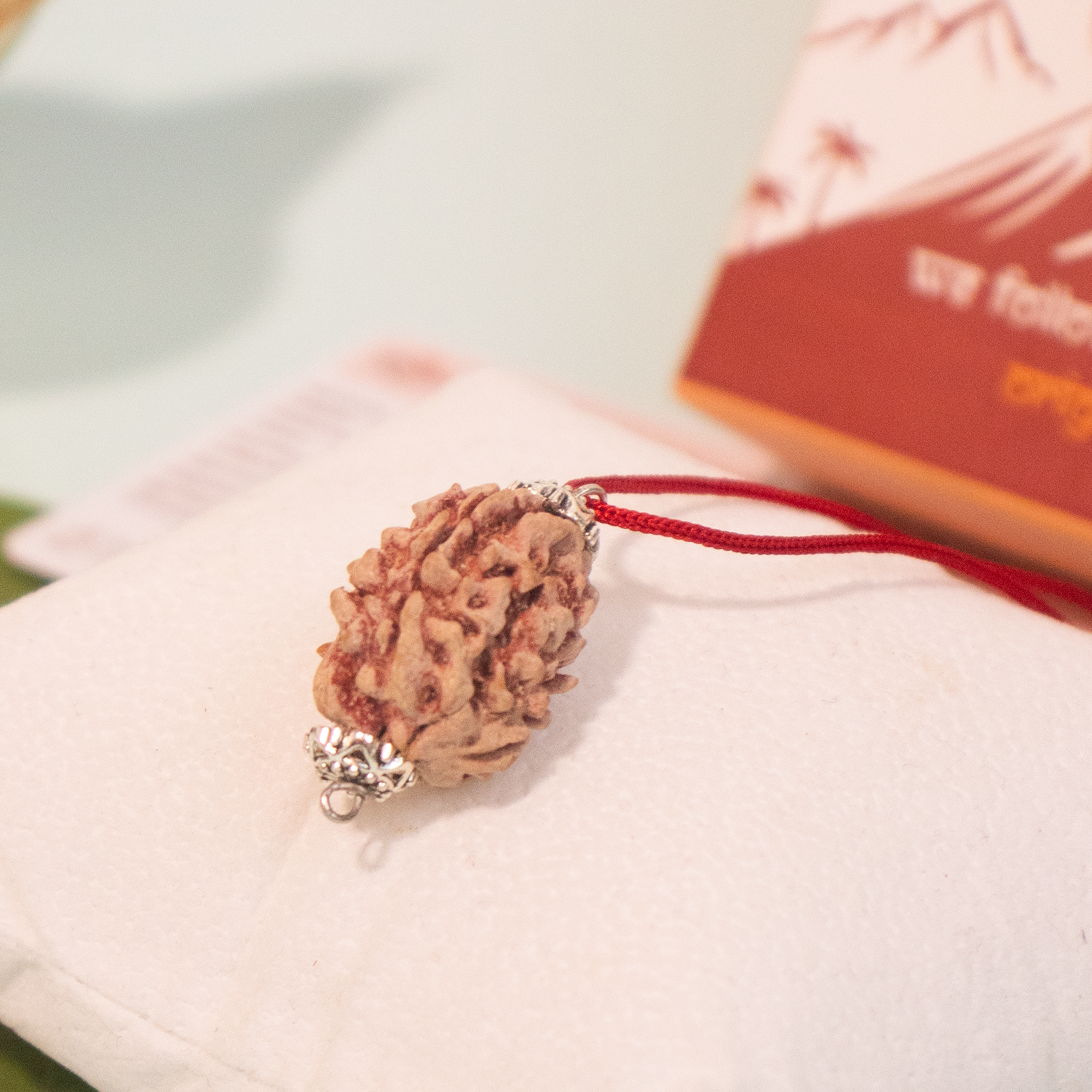 3 Mukhi Rudraksha from Dakshin Bharata – Energized & Authentic