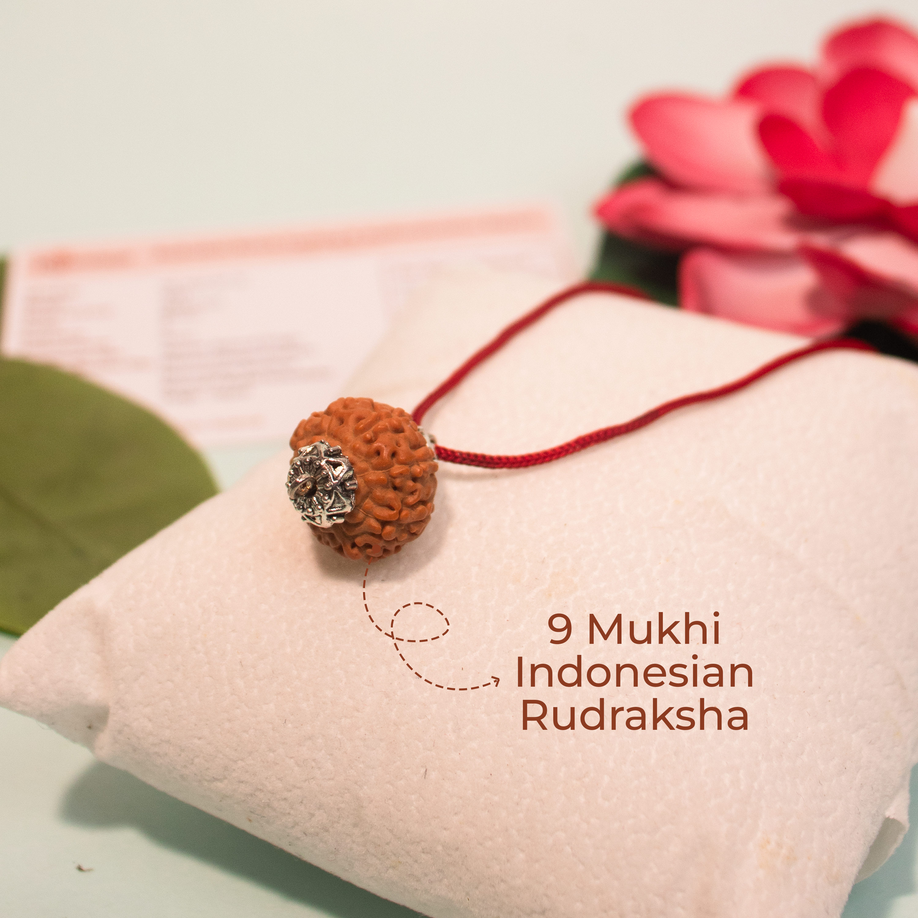 9 Mukhi Indonesian Rudraksha Pendant – Power of Durga for Energy & Protection