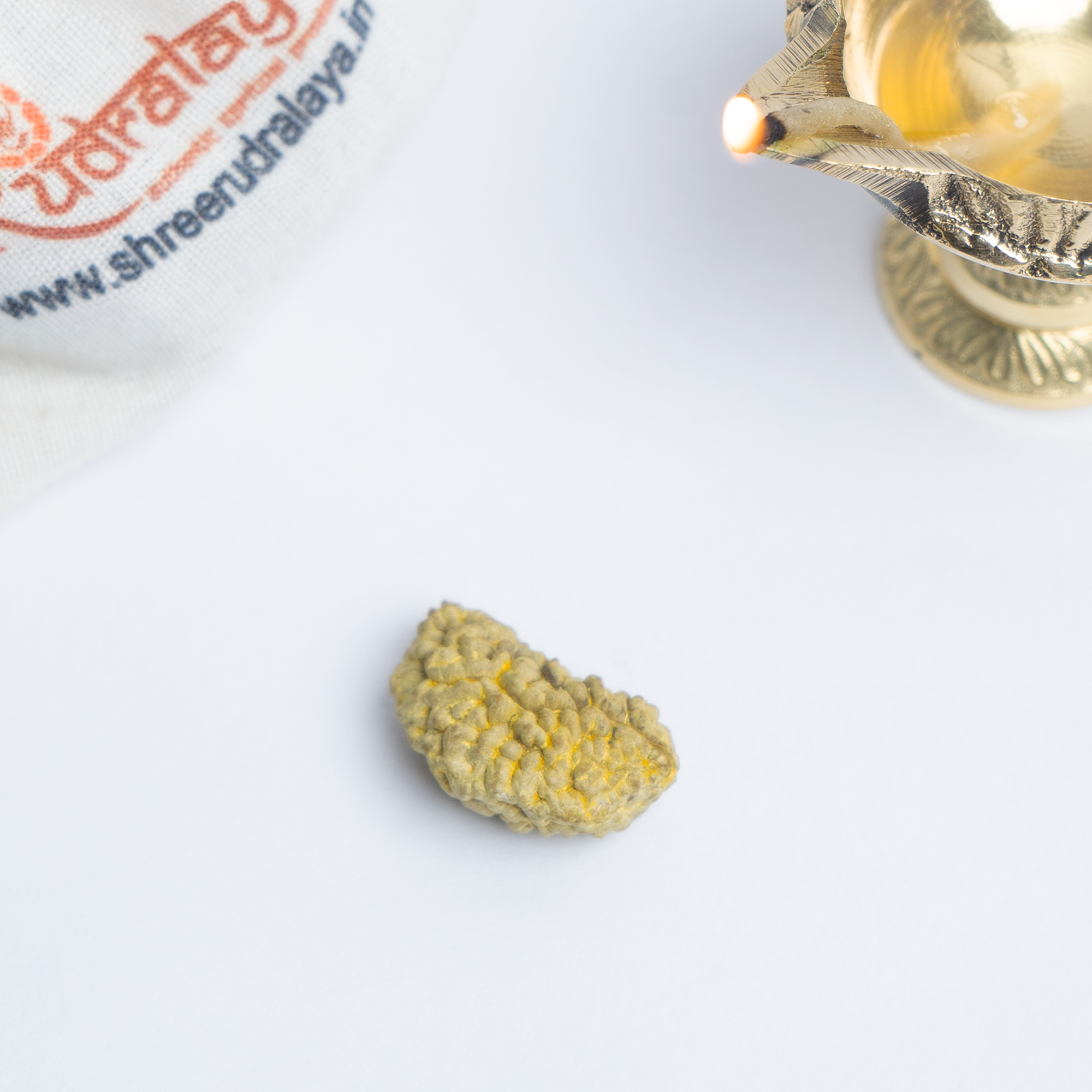 1 Mukhi Rudraksha - Supreme Spiritual Power & Consciousness Awakening