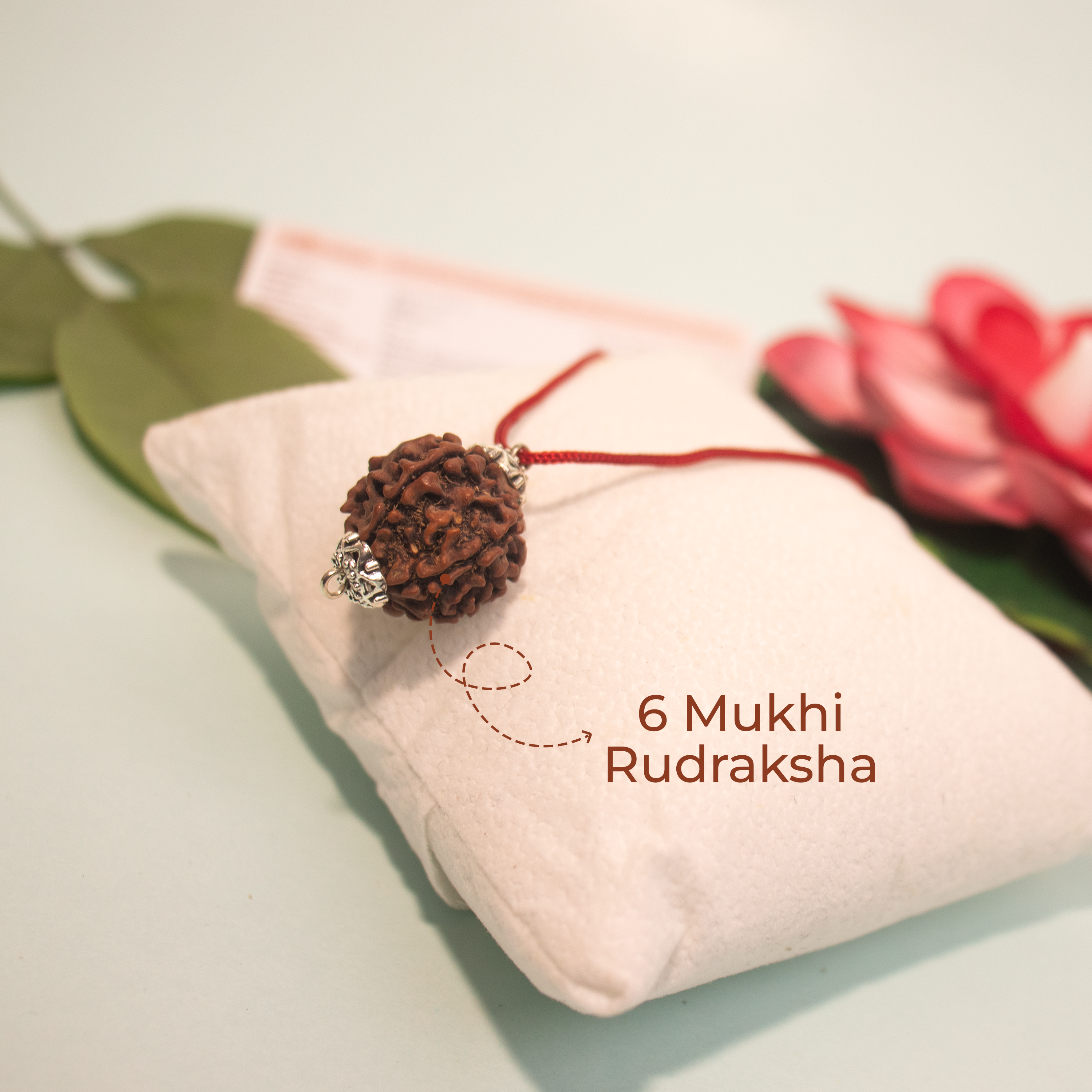 6 Mukhi Rudraksha Pendant – Confidence, Wisdom & Emotional Strength