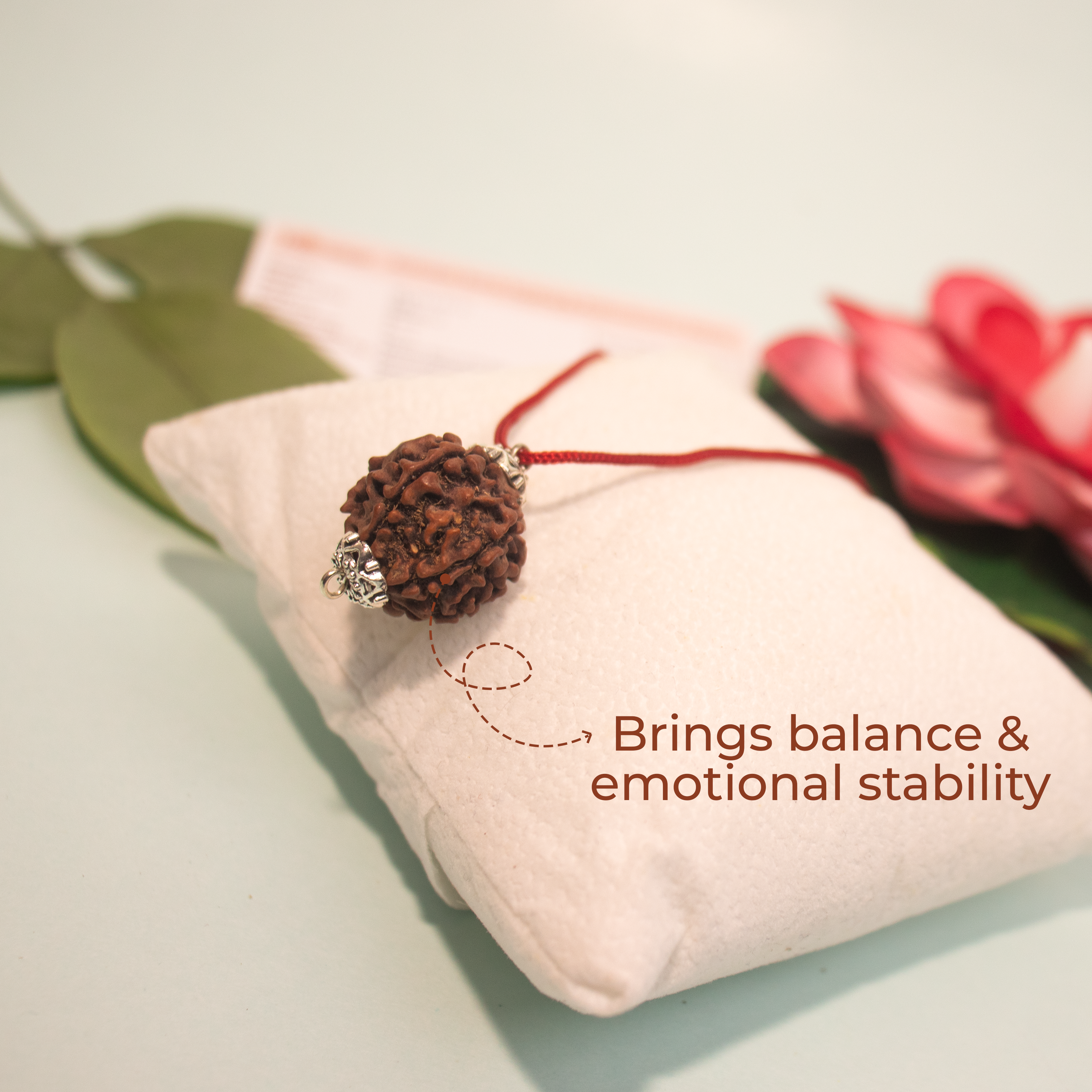 6 Mukhi Rudraksha Pendant – Confidence, Wisdom & Emotional Strength