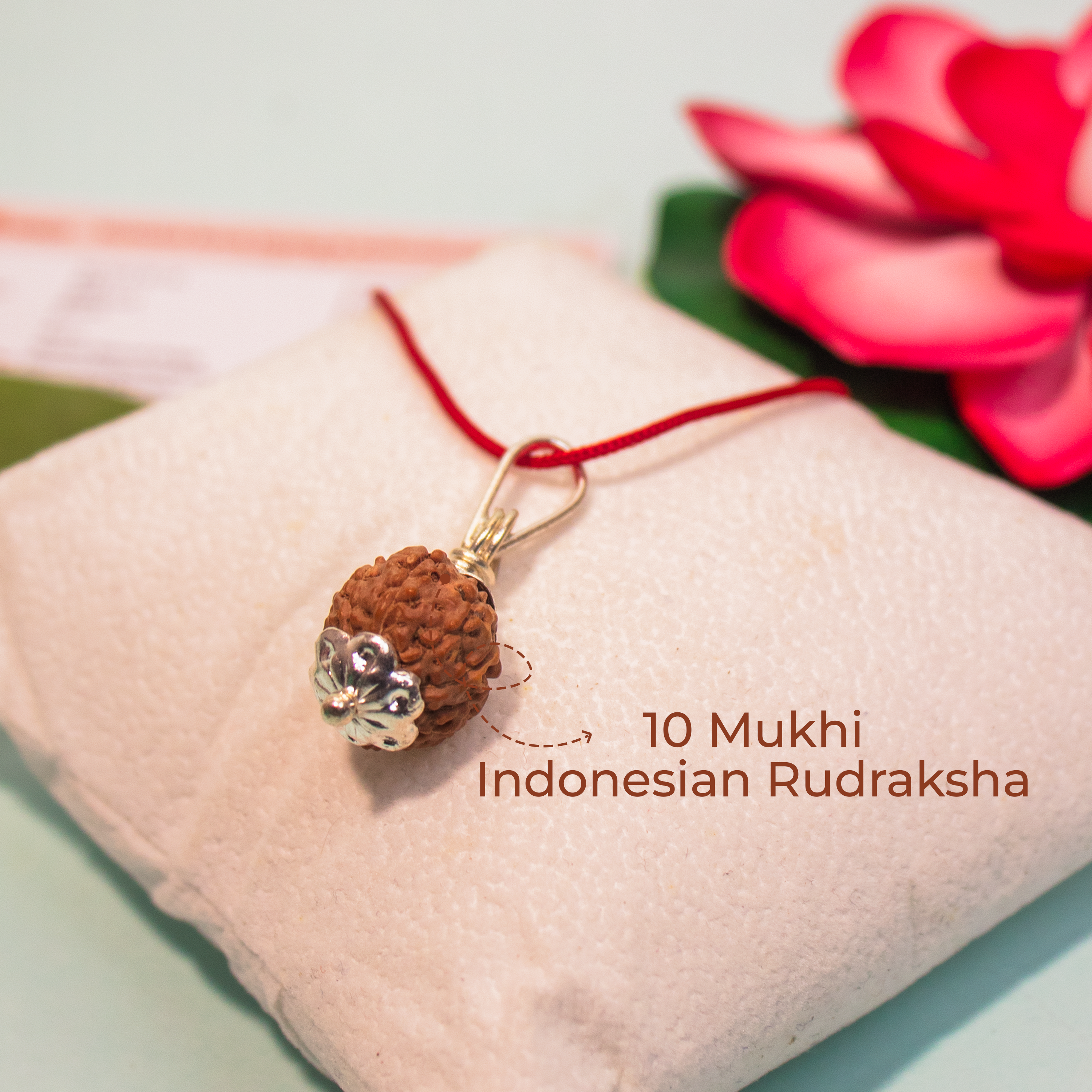10 Mukhi Indonesian Rudraksha Pendant – Shield of Lord Vishnu for Protection & Peace