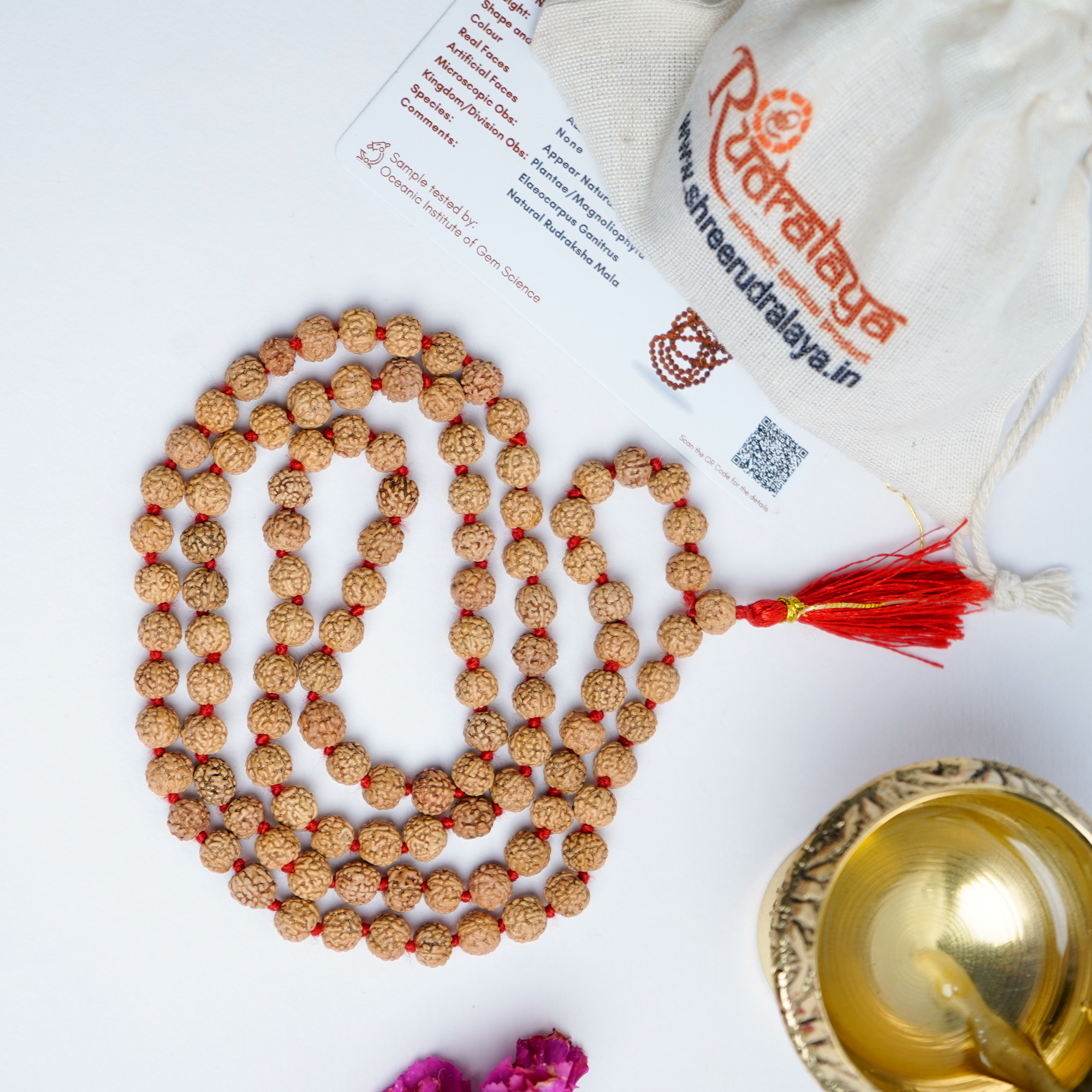 Natural Rudraksha Mala | 108+1 Beads Spiritual Mala