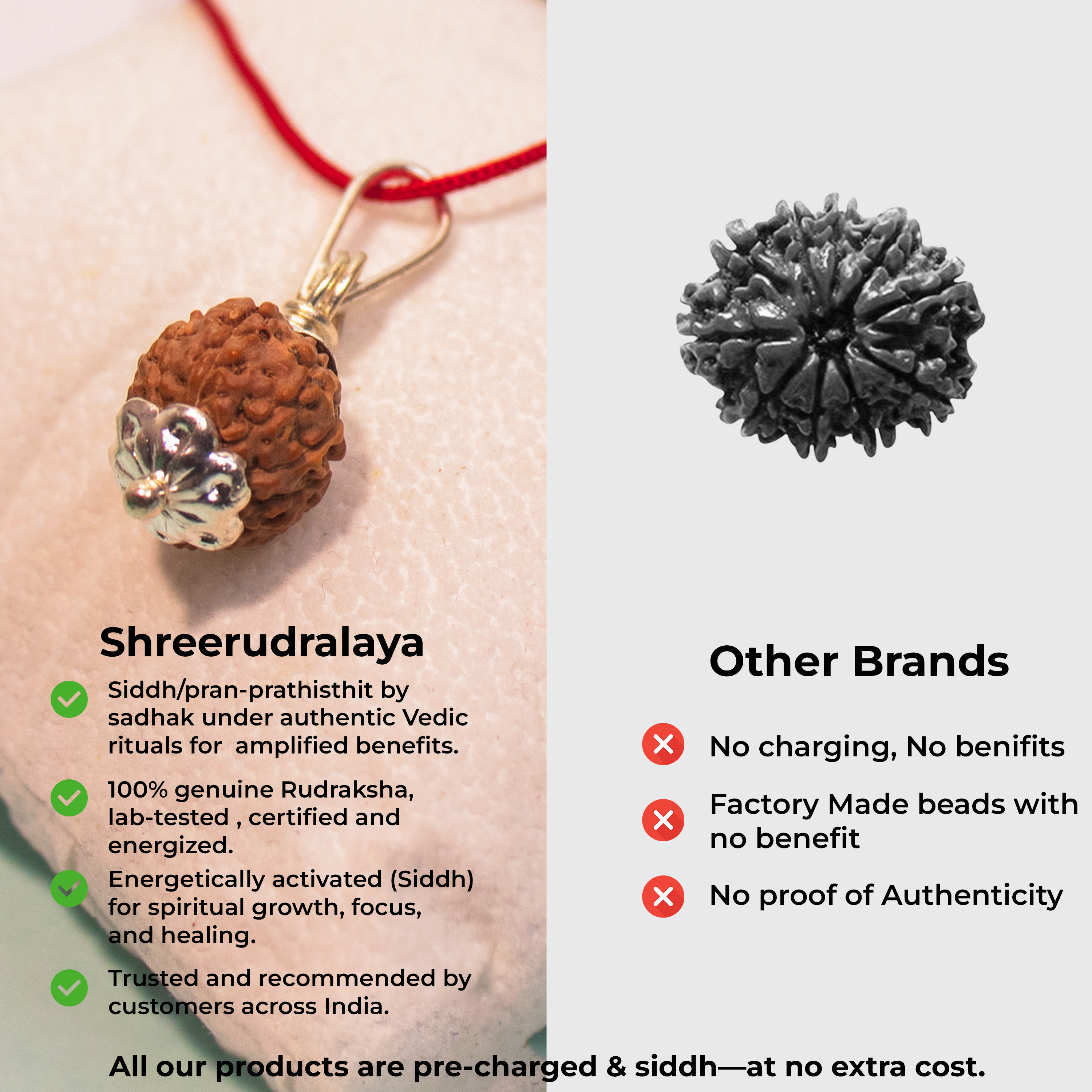 10 Mukhi Indonesian Rudraksha Pendant – Shield of Lord Vishnu for Protection & Peace