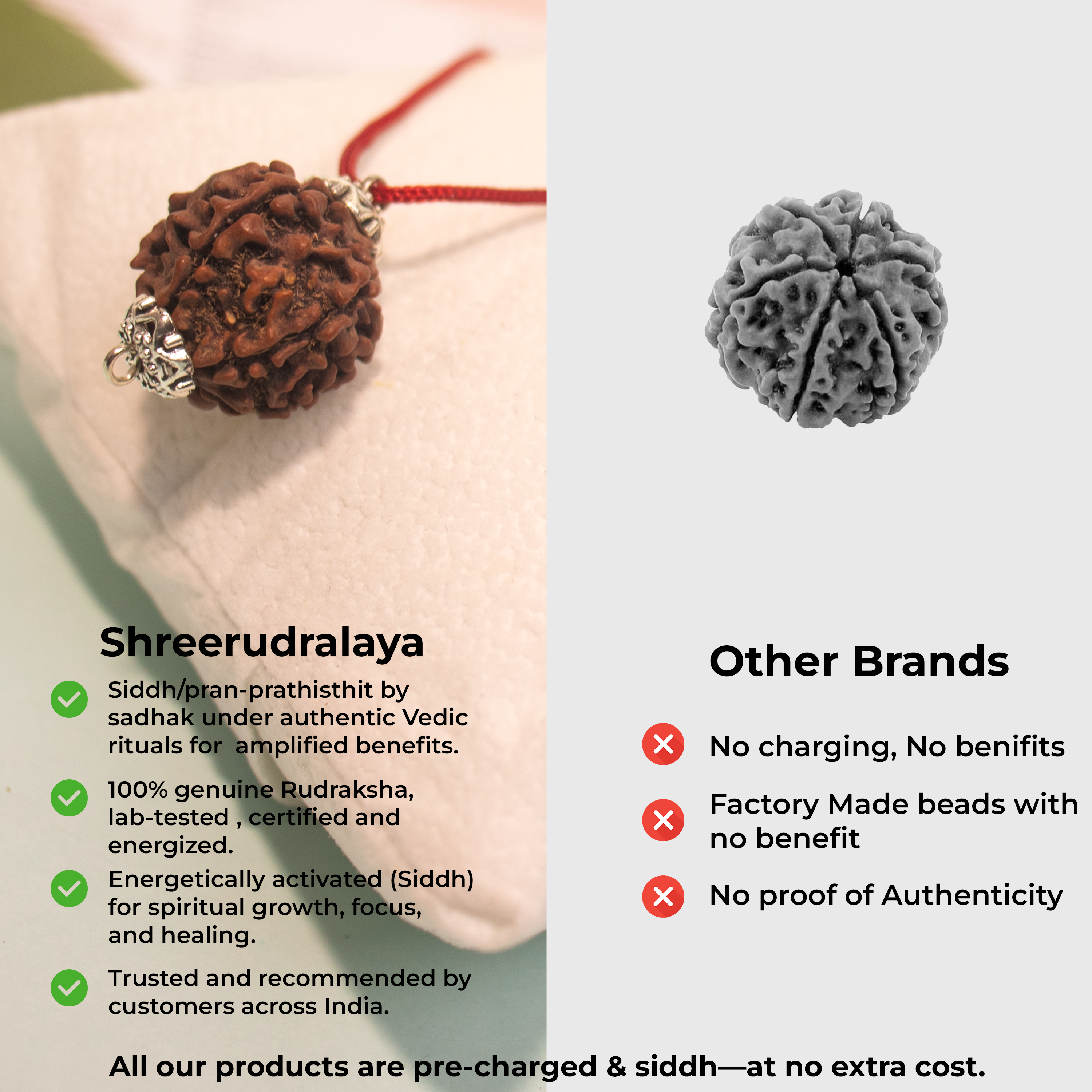 6 Mukhi Rudraksha Pendant – Confidence, Wisdom & Emotional Strength