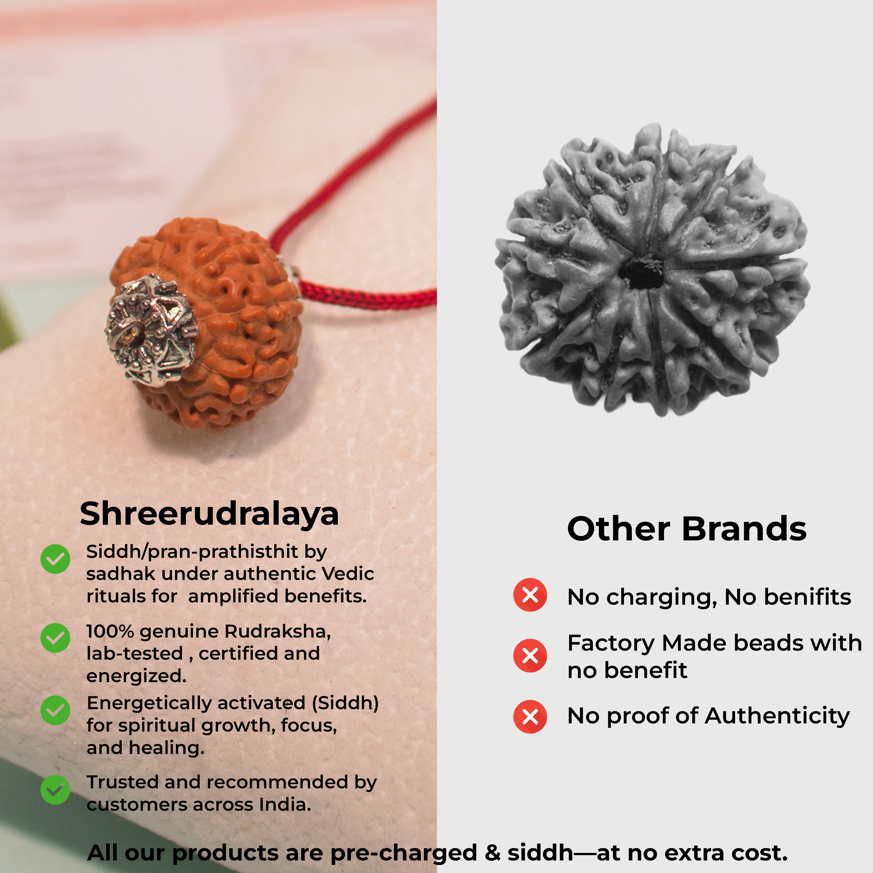 9 Mukhi Indonesian Rudraksha Pendant – Power of Durga for Energy & Protection