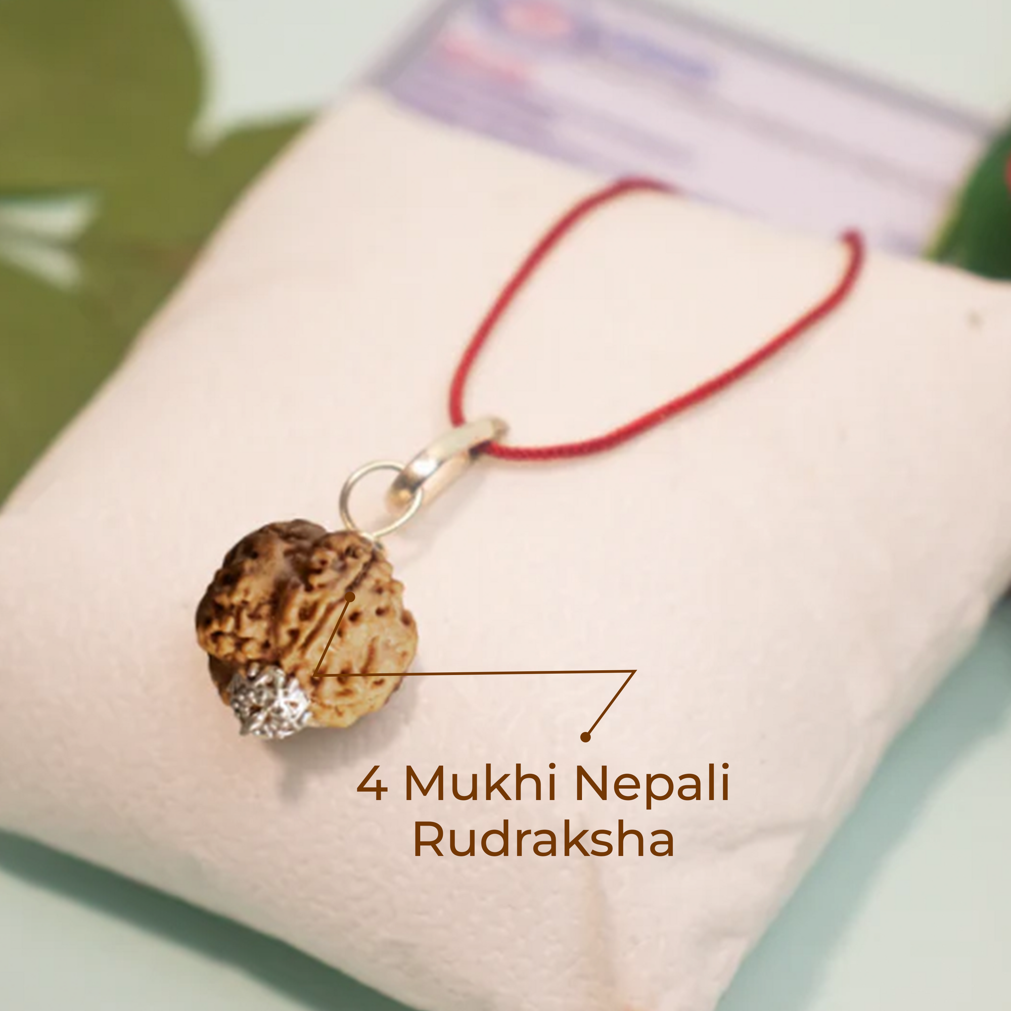 4 Mukhi Nepali Rudraksha Pendant – Wisdom, Creativity & Clear Communication
