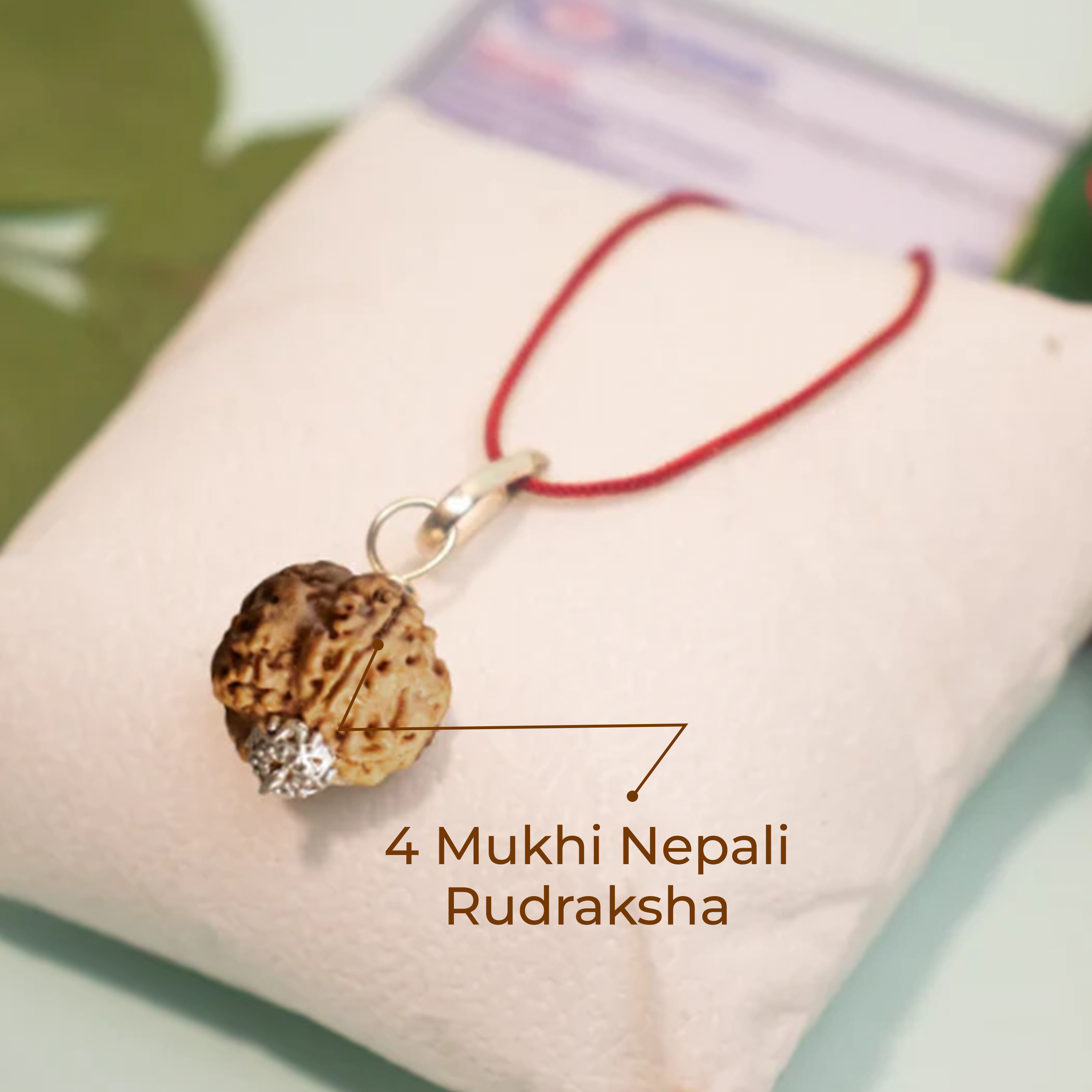 4 Mukhi Nepali Rudraksha Pendant – Wisdom, Creativity & Clear Communication