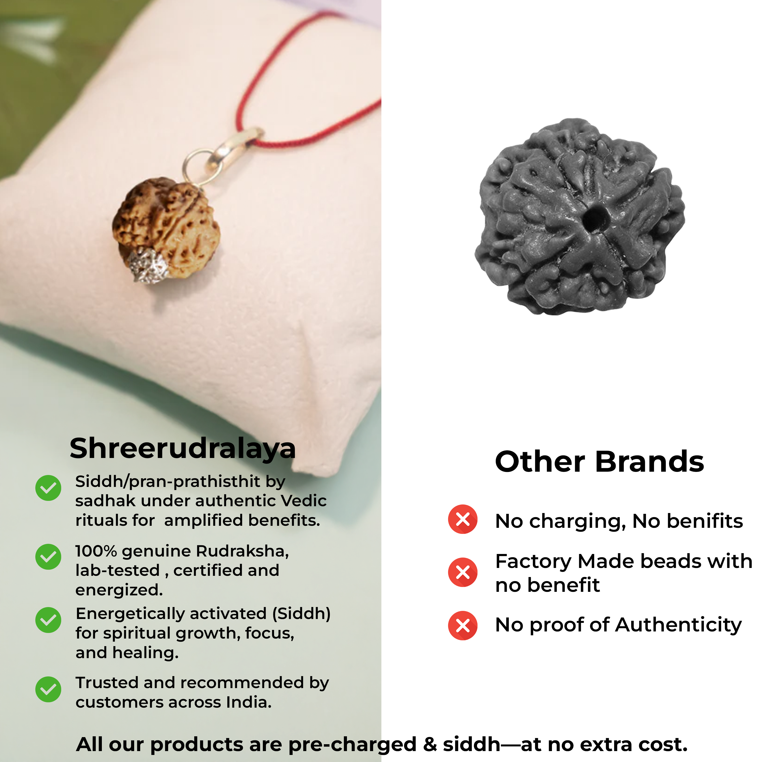 4 Mukhi Nepali Rudraksha Pendant – Wisdom, Creativity & Clear Communication