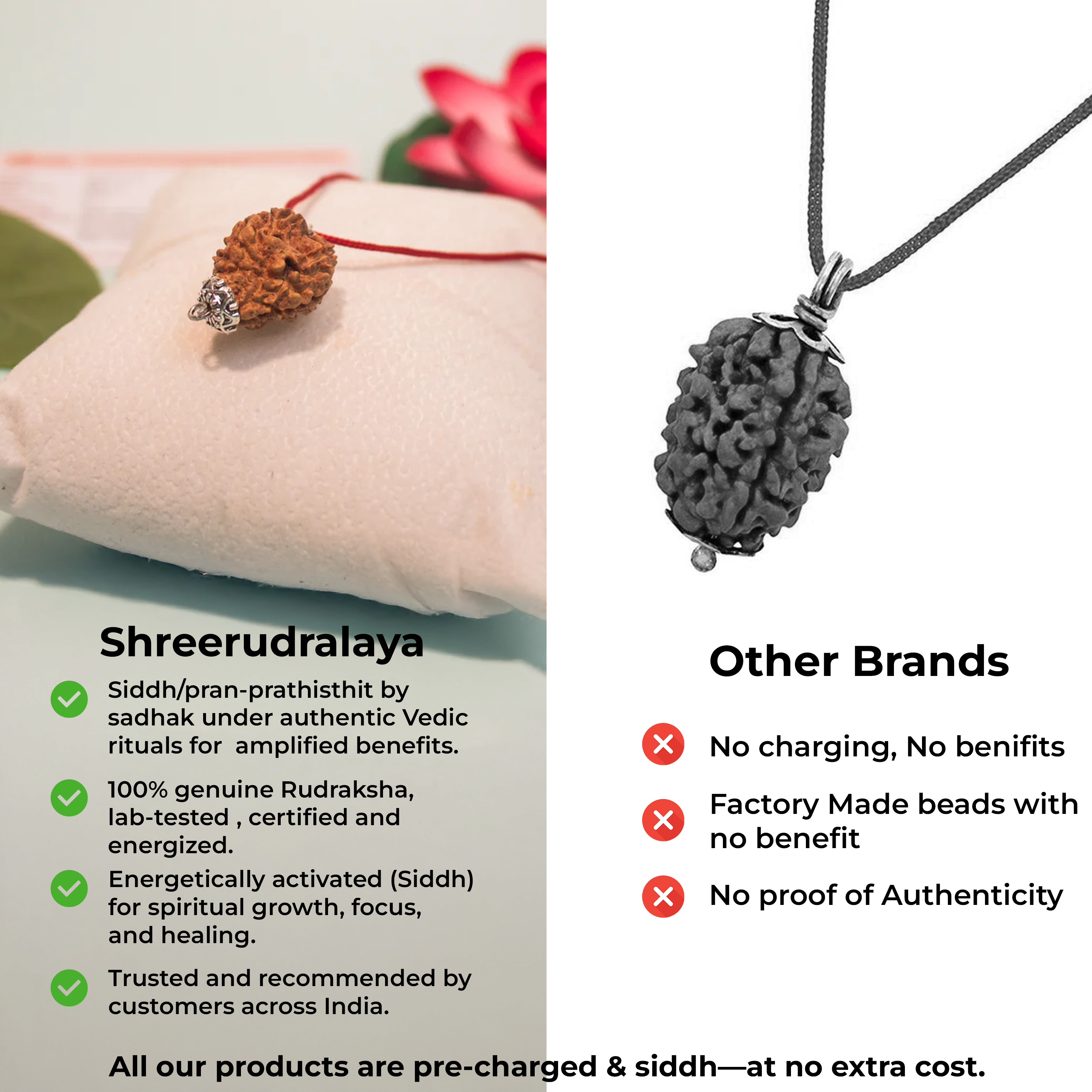 3 Mukhi Nepali Rudraksha Pendant – Energized & Authentic