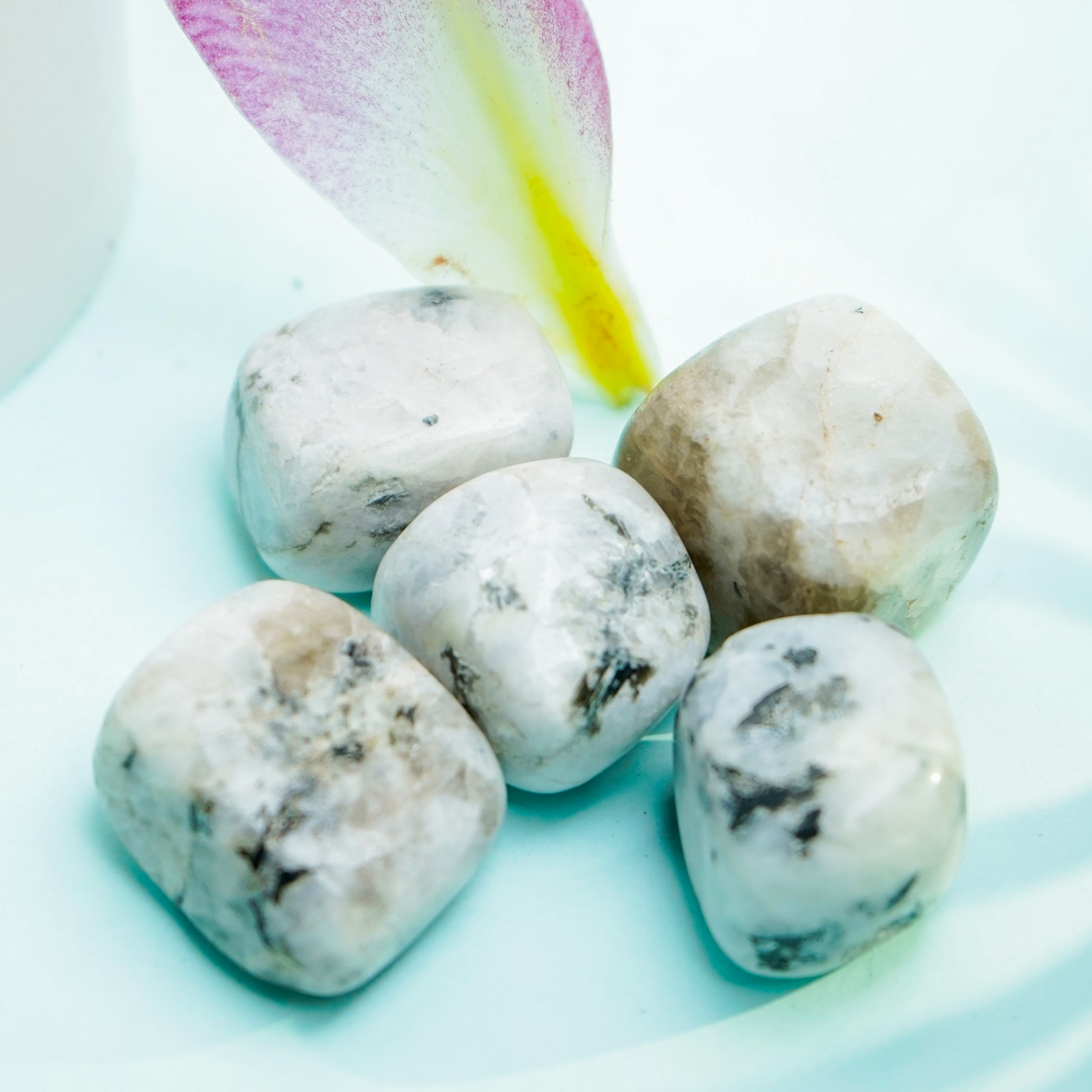 Natural Moon Stone Tumble Stone