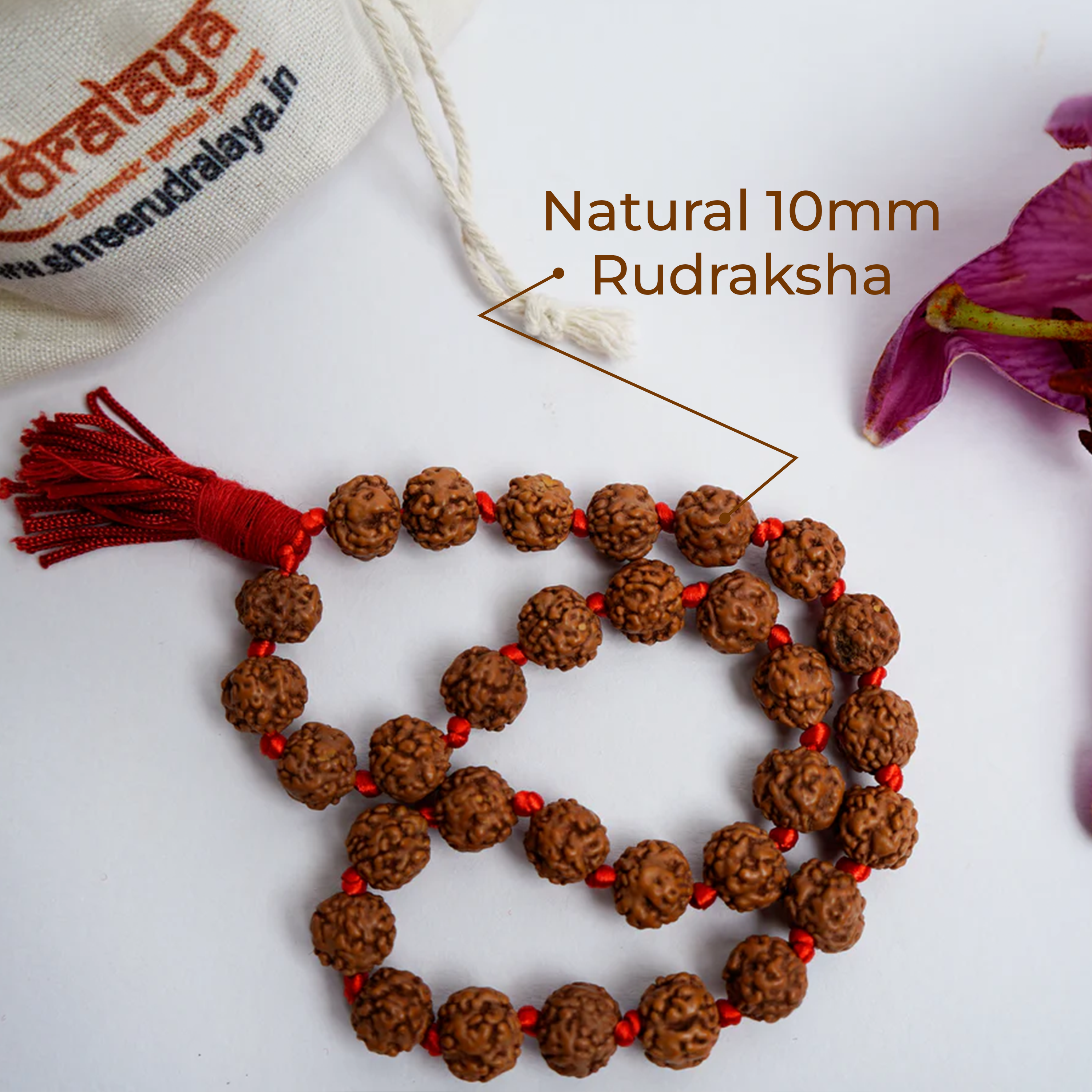 Natural 10mm Rudraksha Hand Mala | Sumrani Mala for Meditation, Japa & Prayer