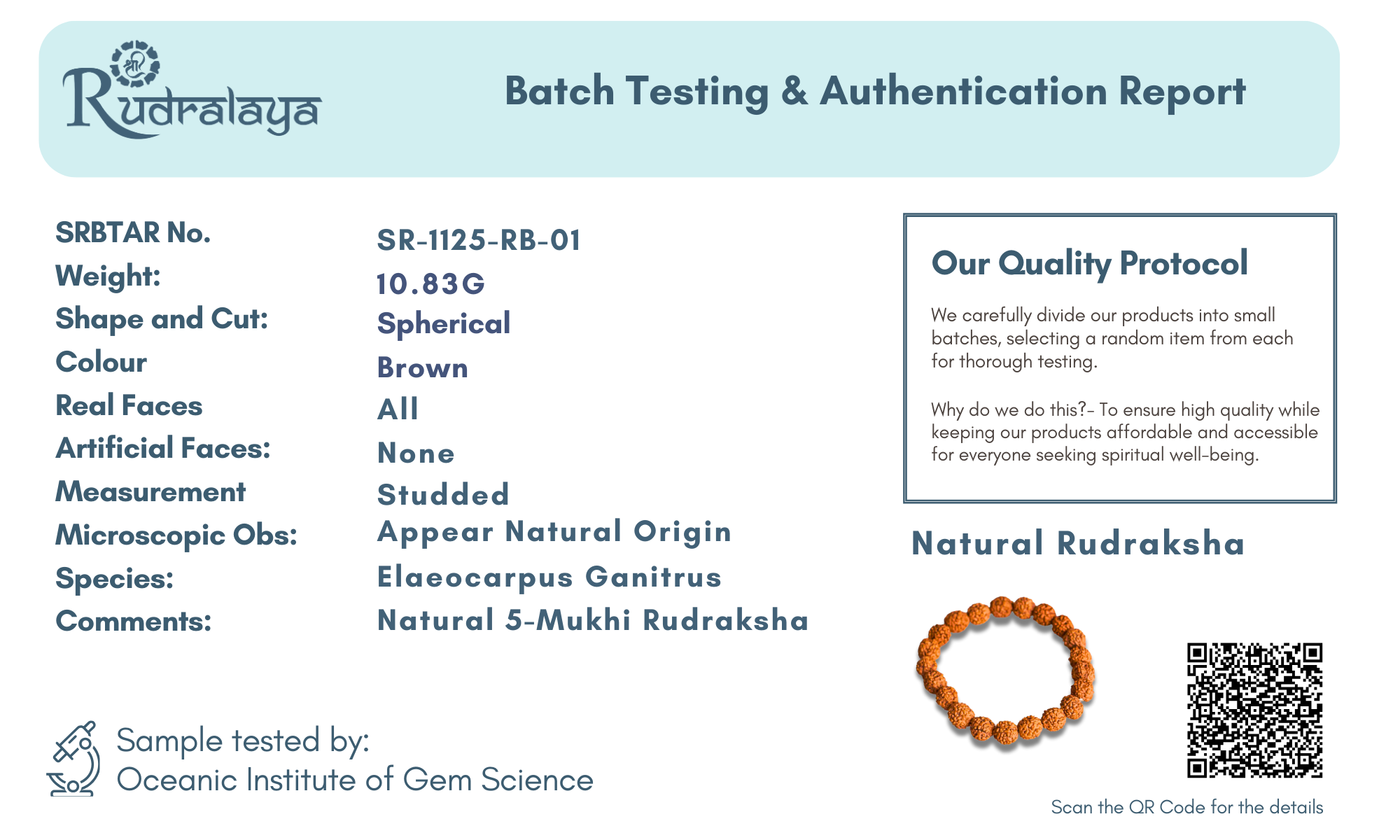 Authentic 5 Mukhi Rudraksha Bracelet – Energized & Handcrafted