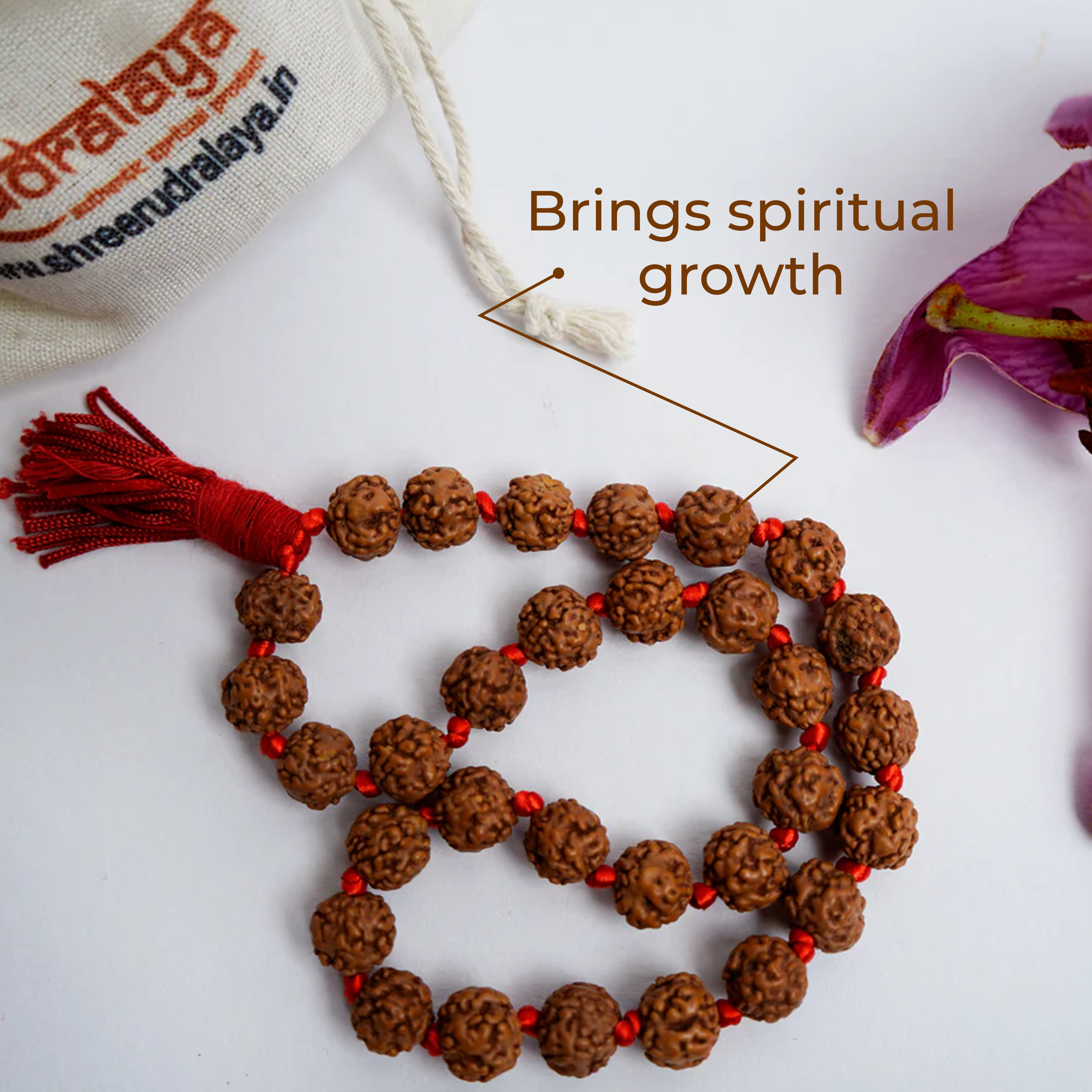 Natural 10mm Rudraksha Hand Mala | Sumrani Mala for Meditation, Japa & Prayer