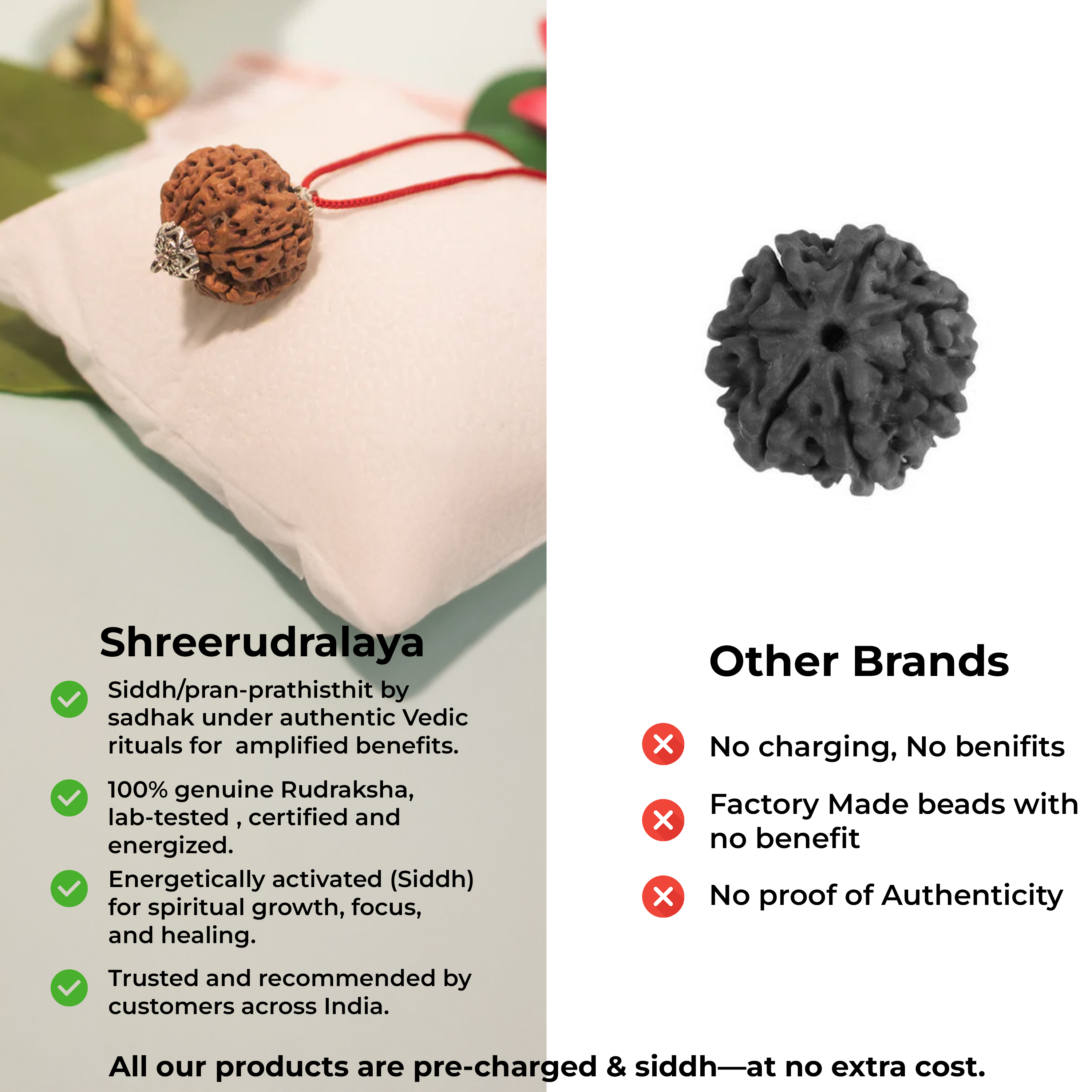 7 Mukhi Nepali Rudraksha Pendant – Wealth, Health & Divine Blessings of Goddess Lakshmi